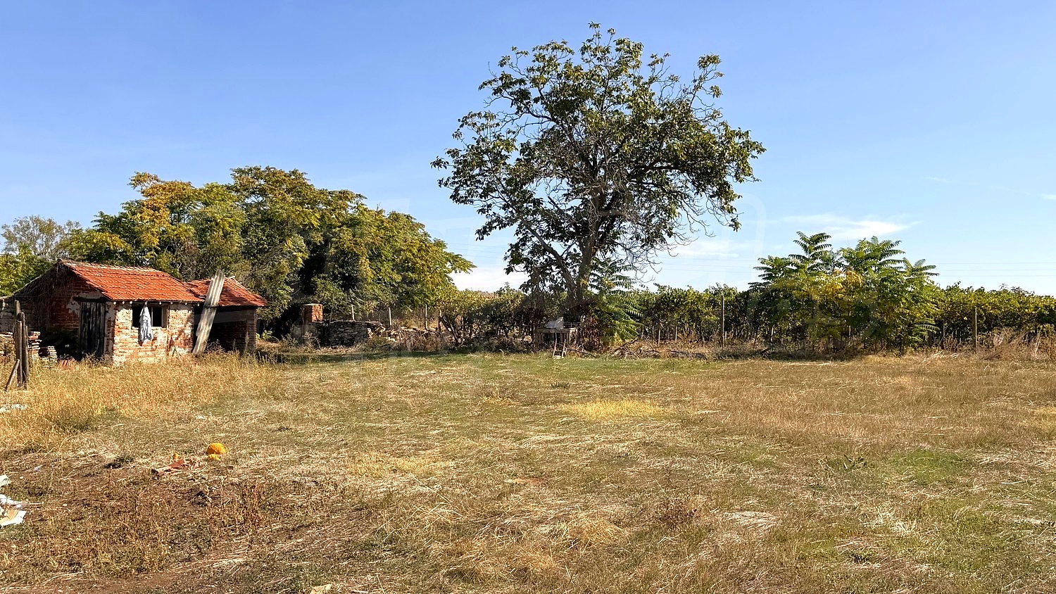 outside, garden, green area