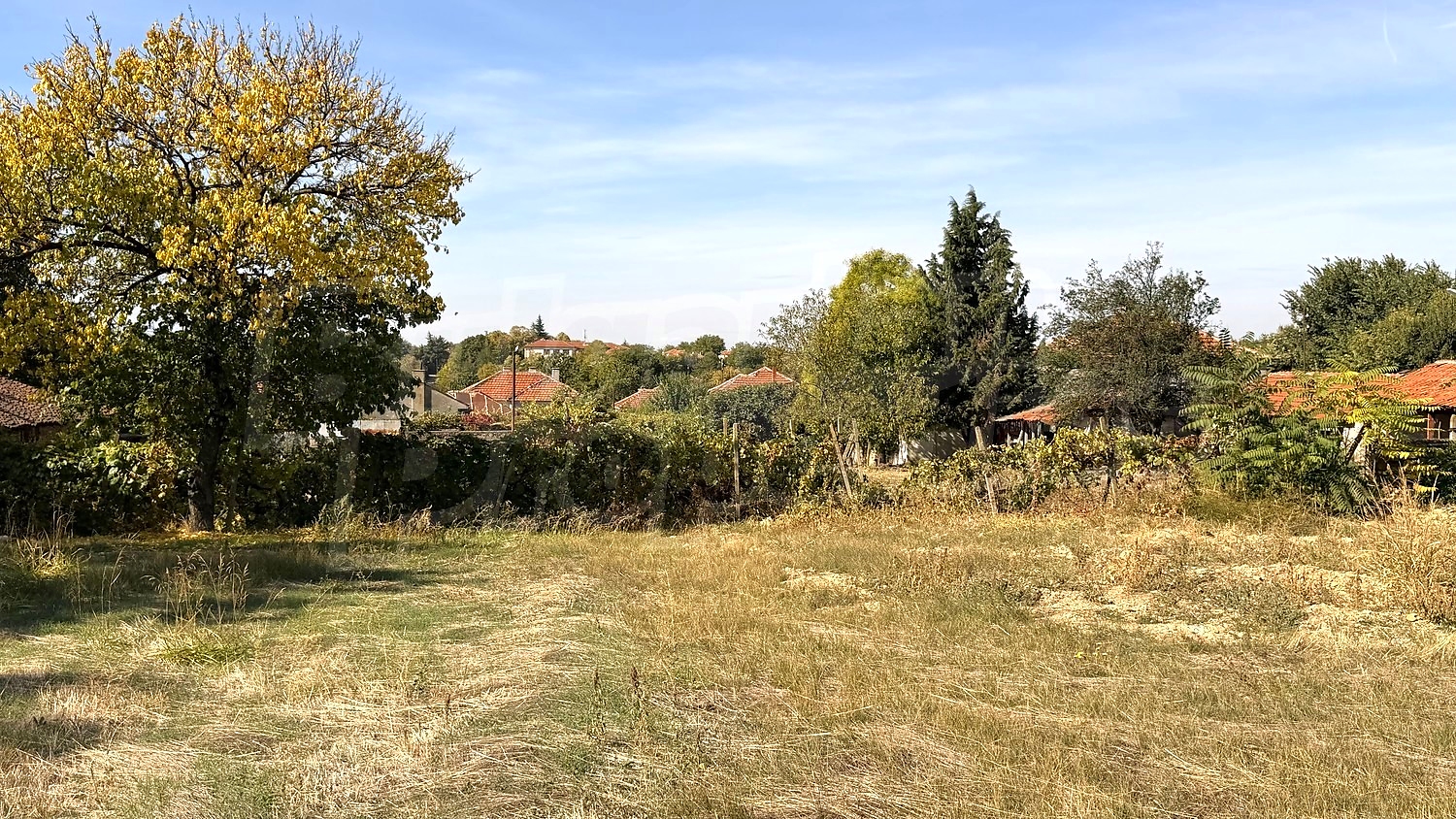 outside, garden, green area