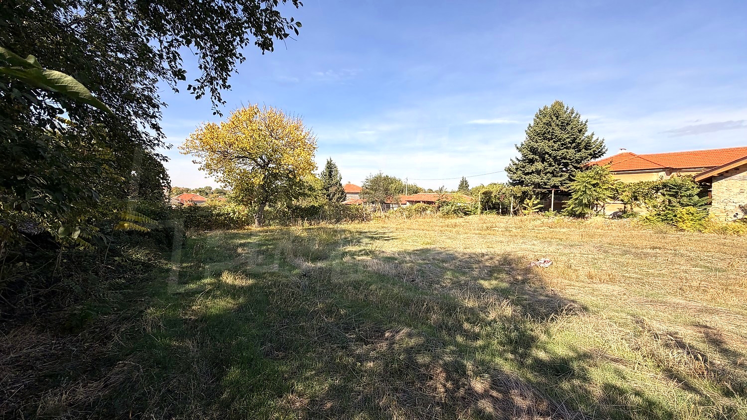 outside, garden, green area