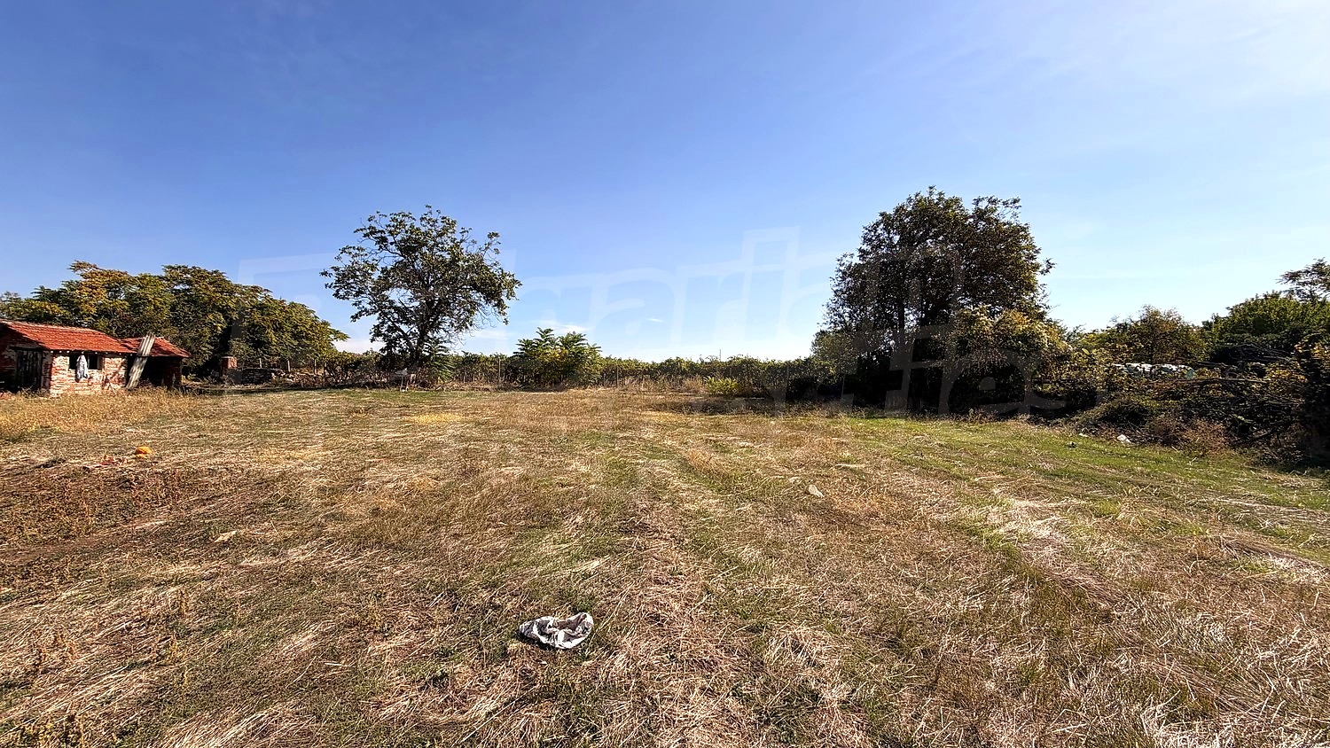 outside, green area