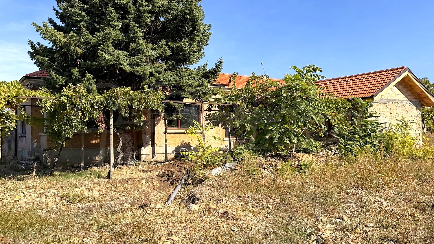 outside, facade, garden