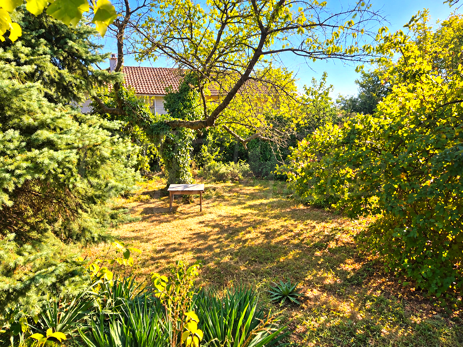 outside, garden, green area