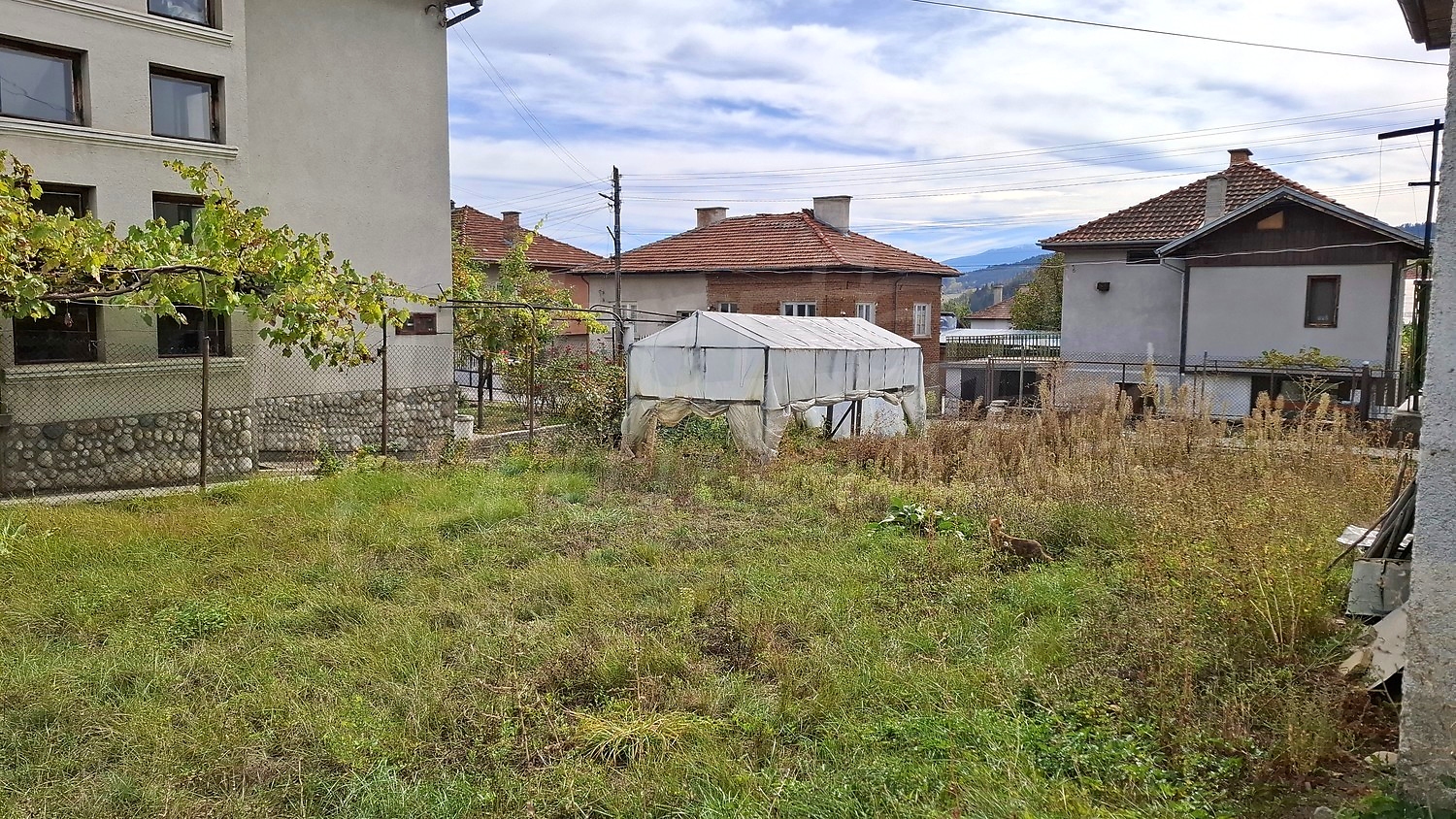 outside, garden