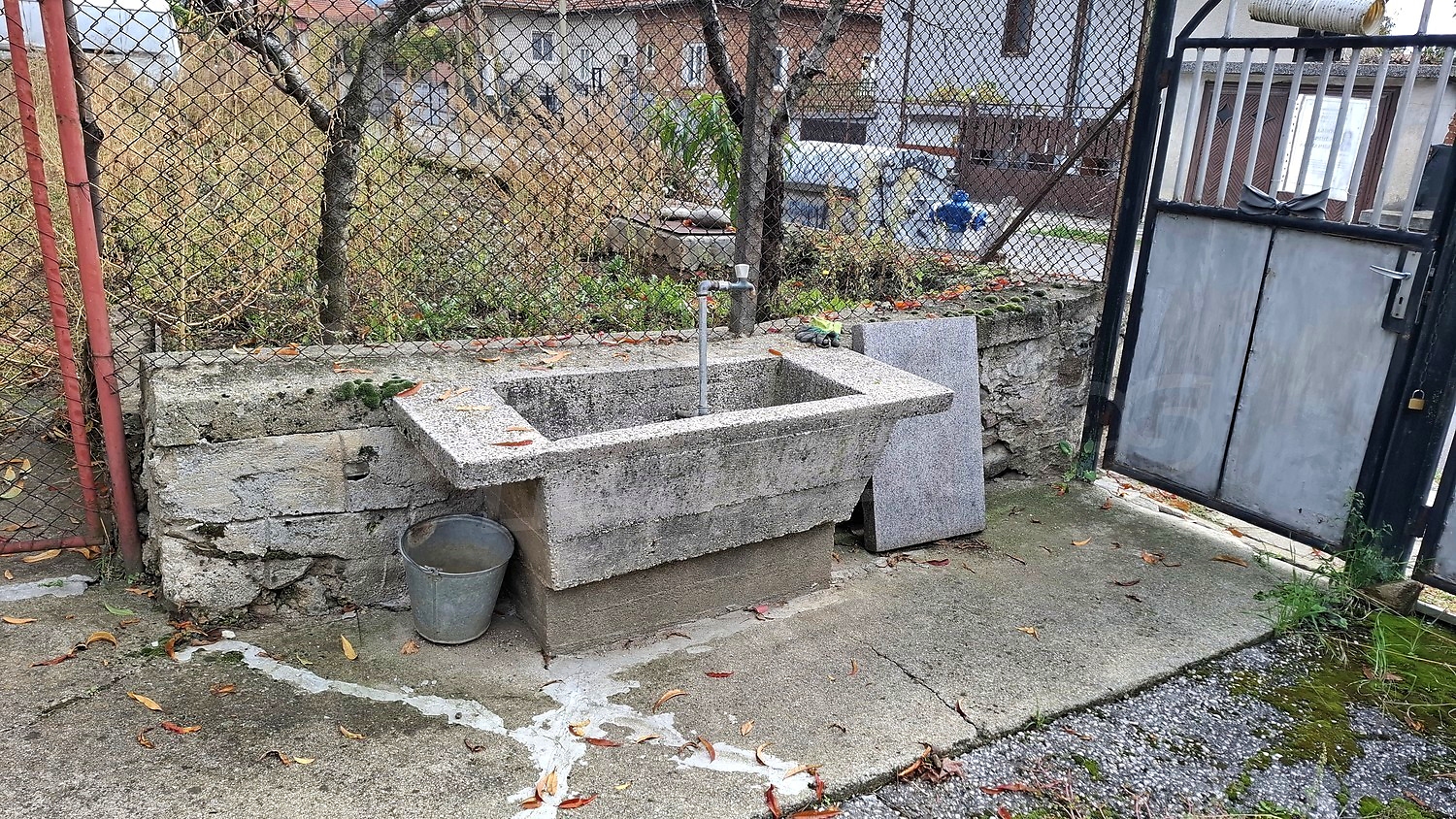 outside, garden