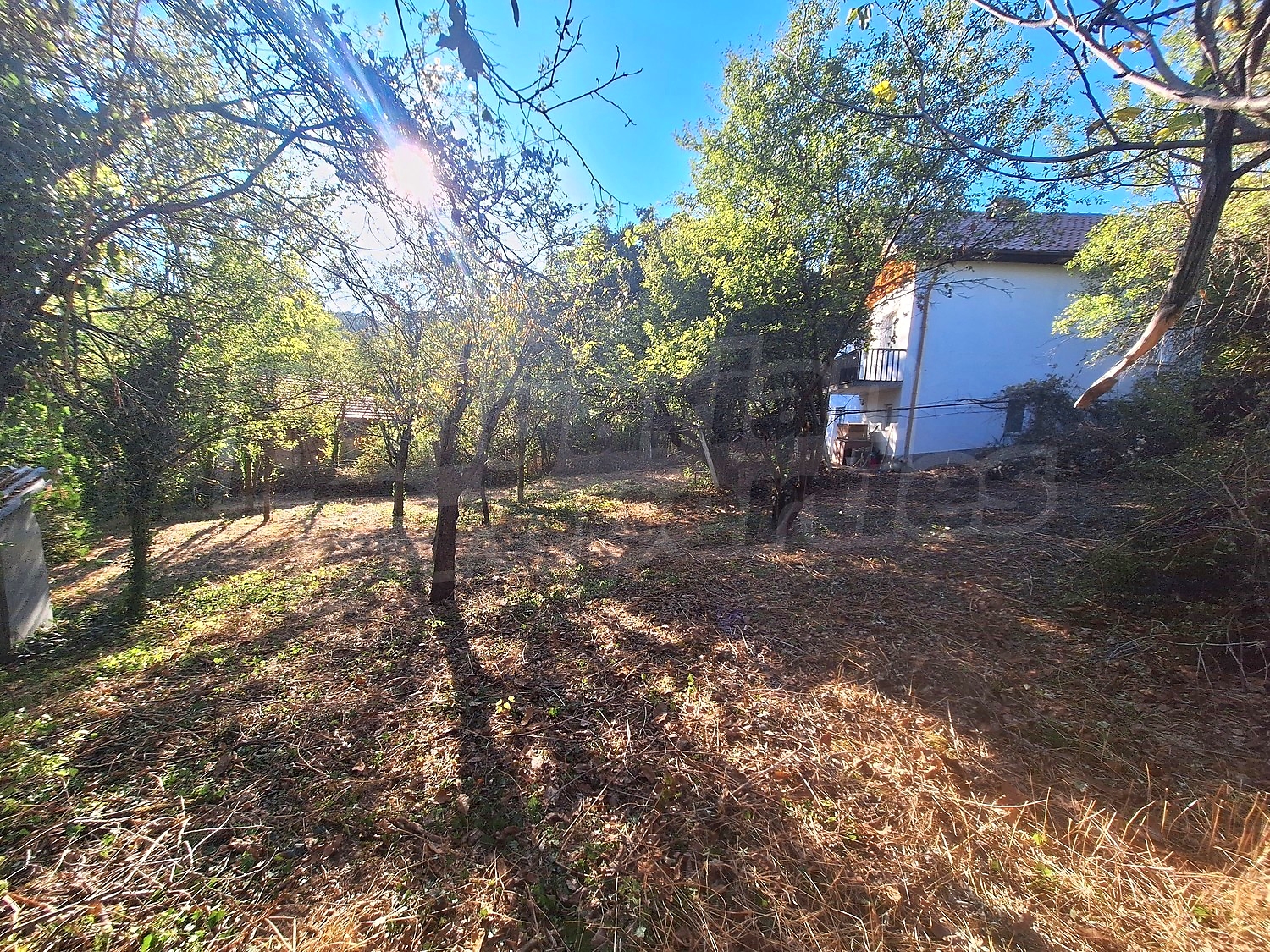 outside, garden, facade, green area