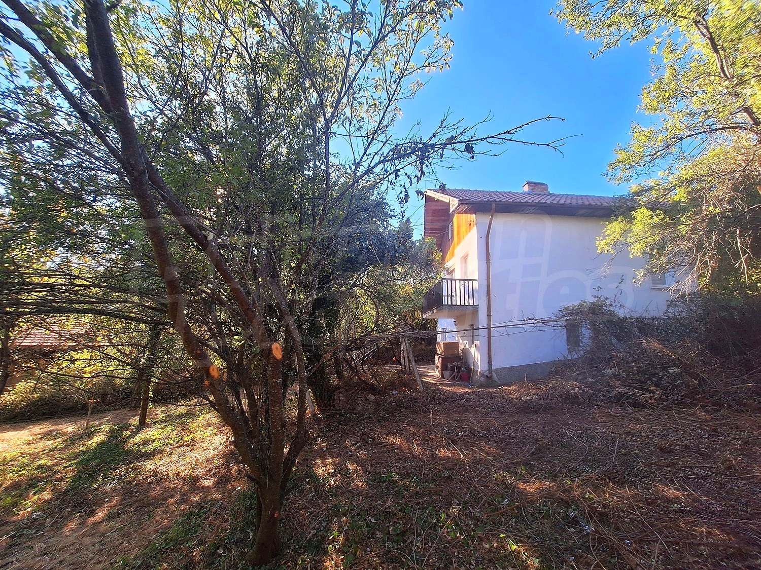 outside, facade, garden