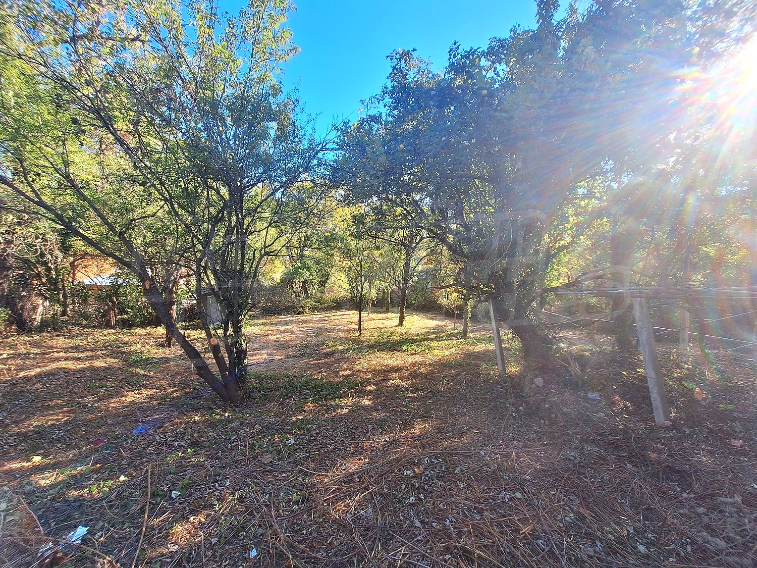 outside, garden, green area