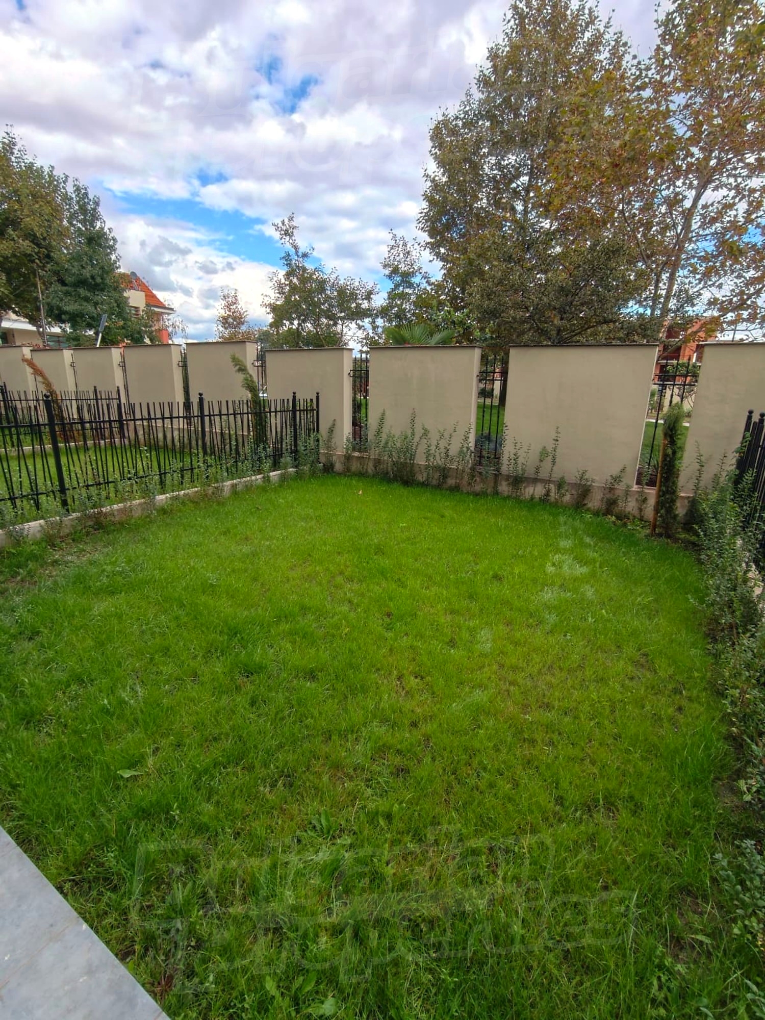 outside, garden, green area