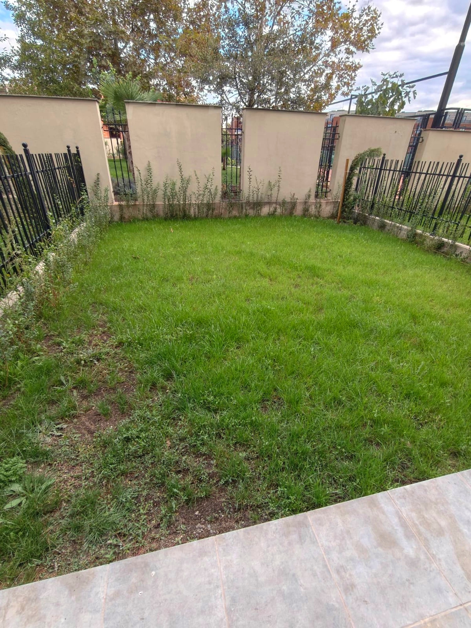 garden, outside