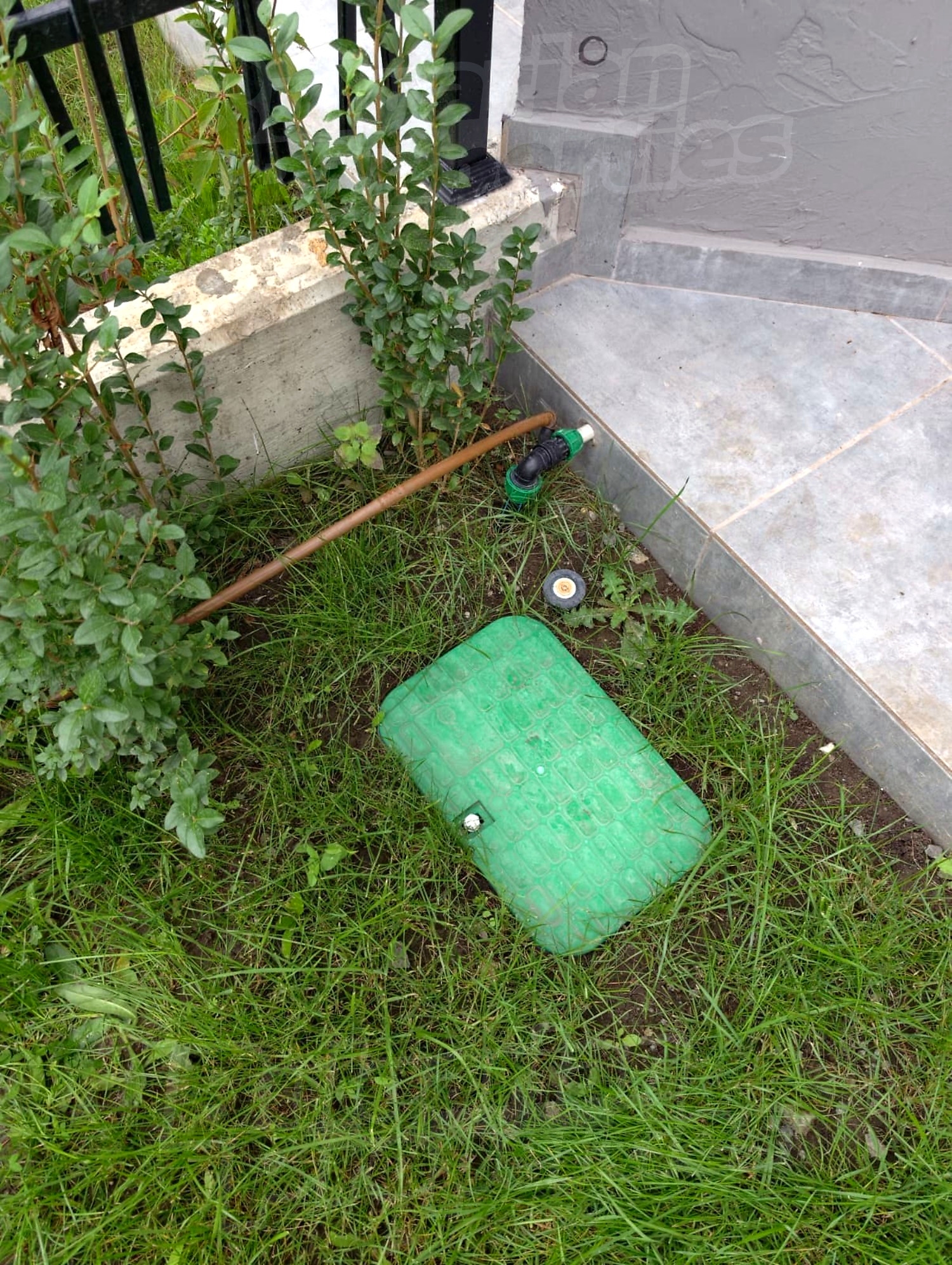 outside, garden