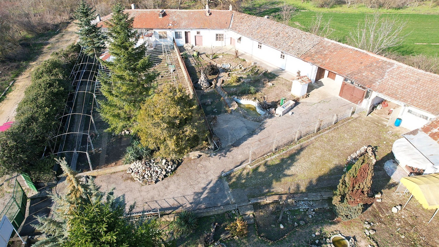 outside, garden