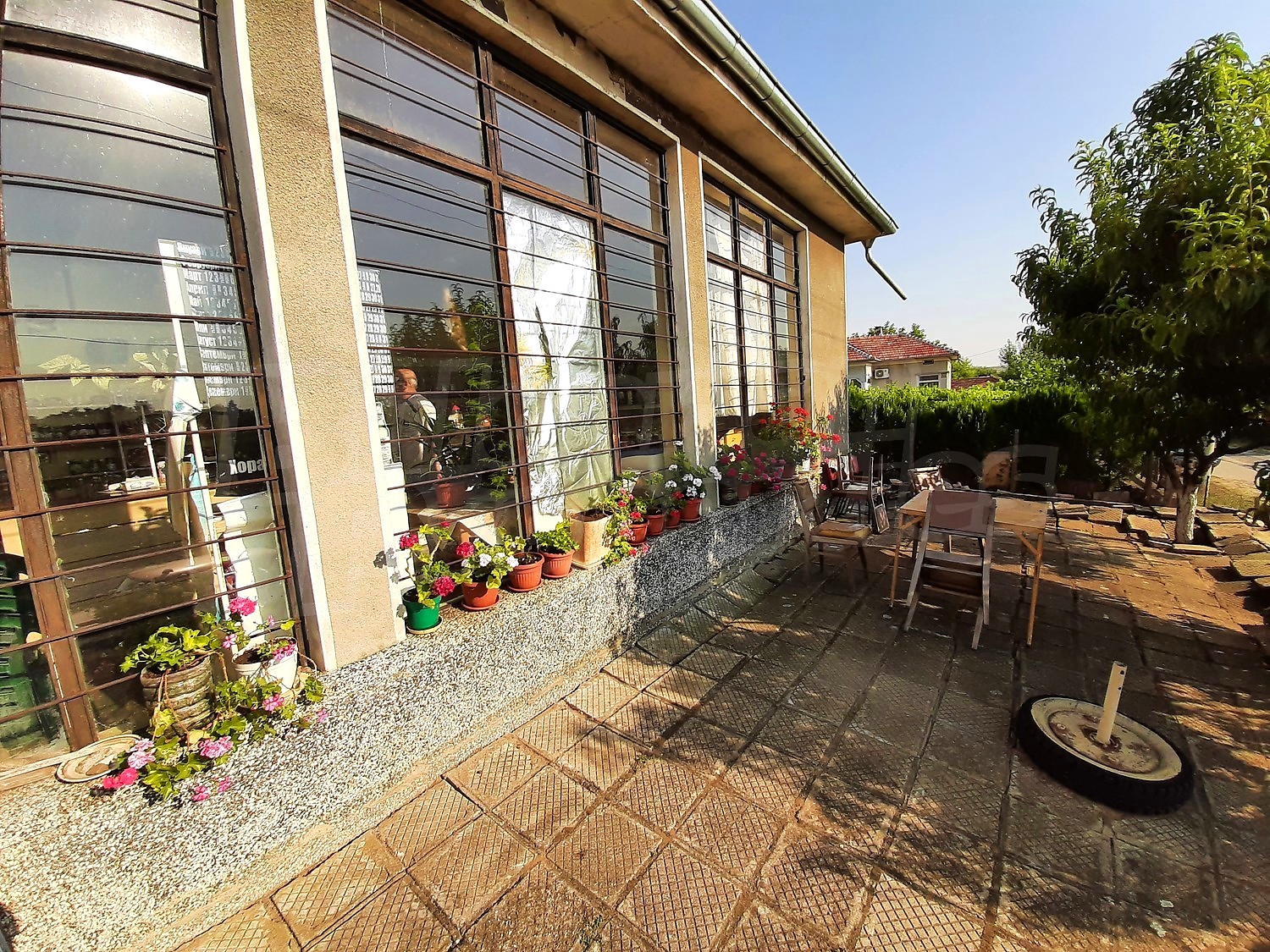 outside, garden