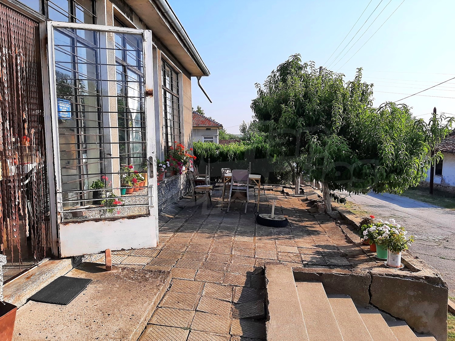 outside, garden