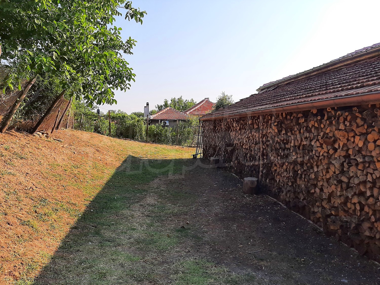 outside, garden