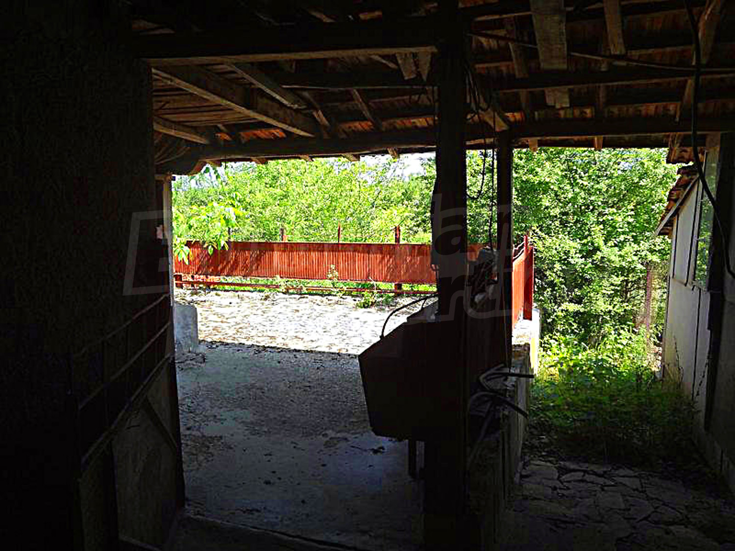 outside, green area