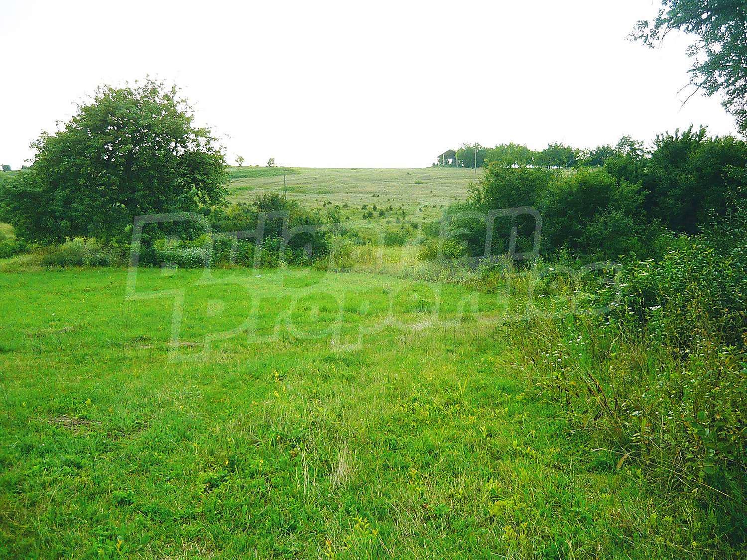 outside, garden, green area