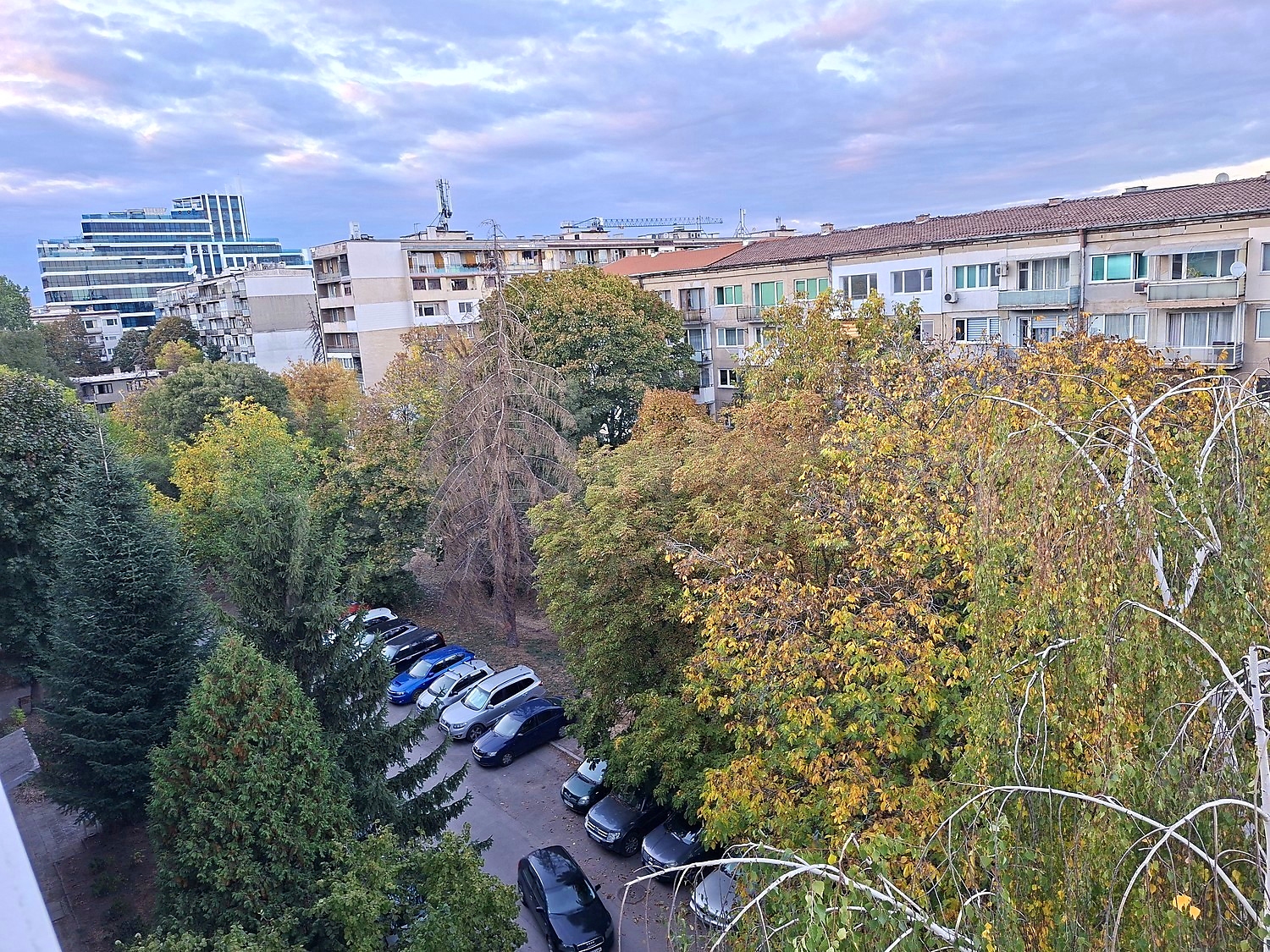 outside, green area, parking