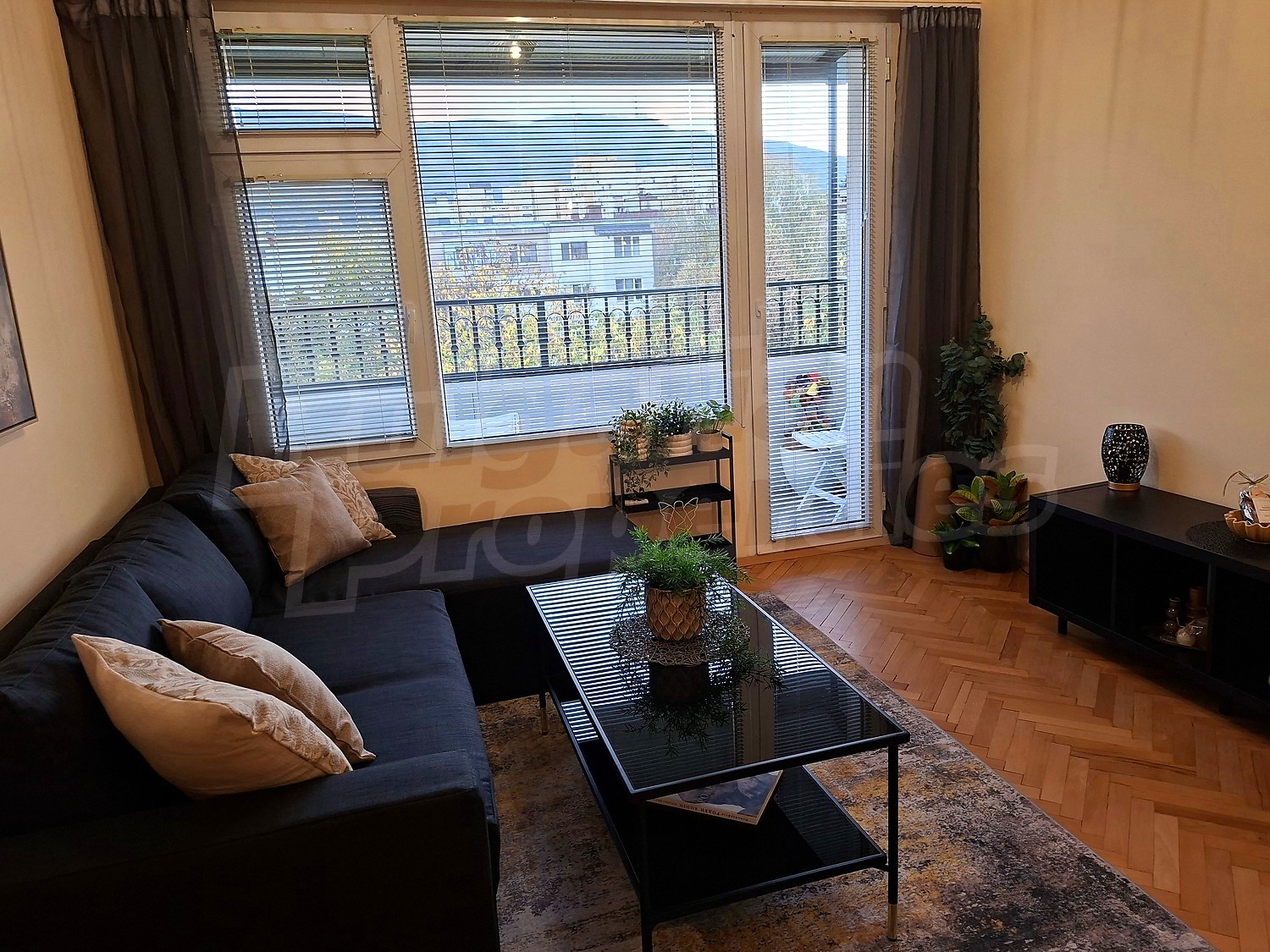 inside, living room, balcony, furnished