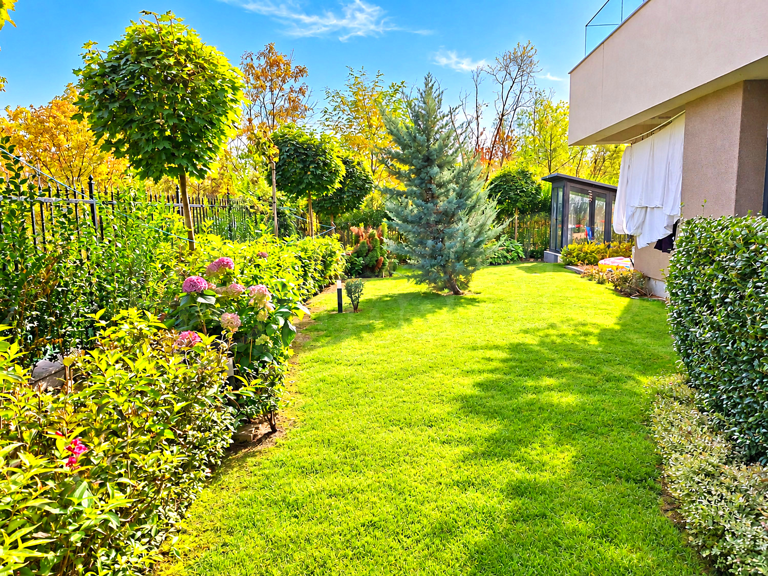 garden, outside