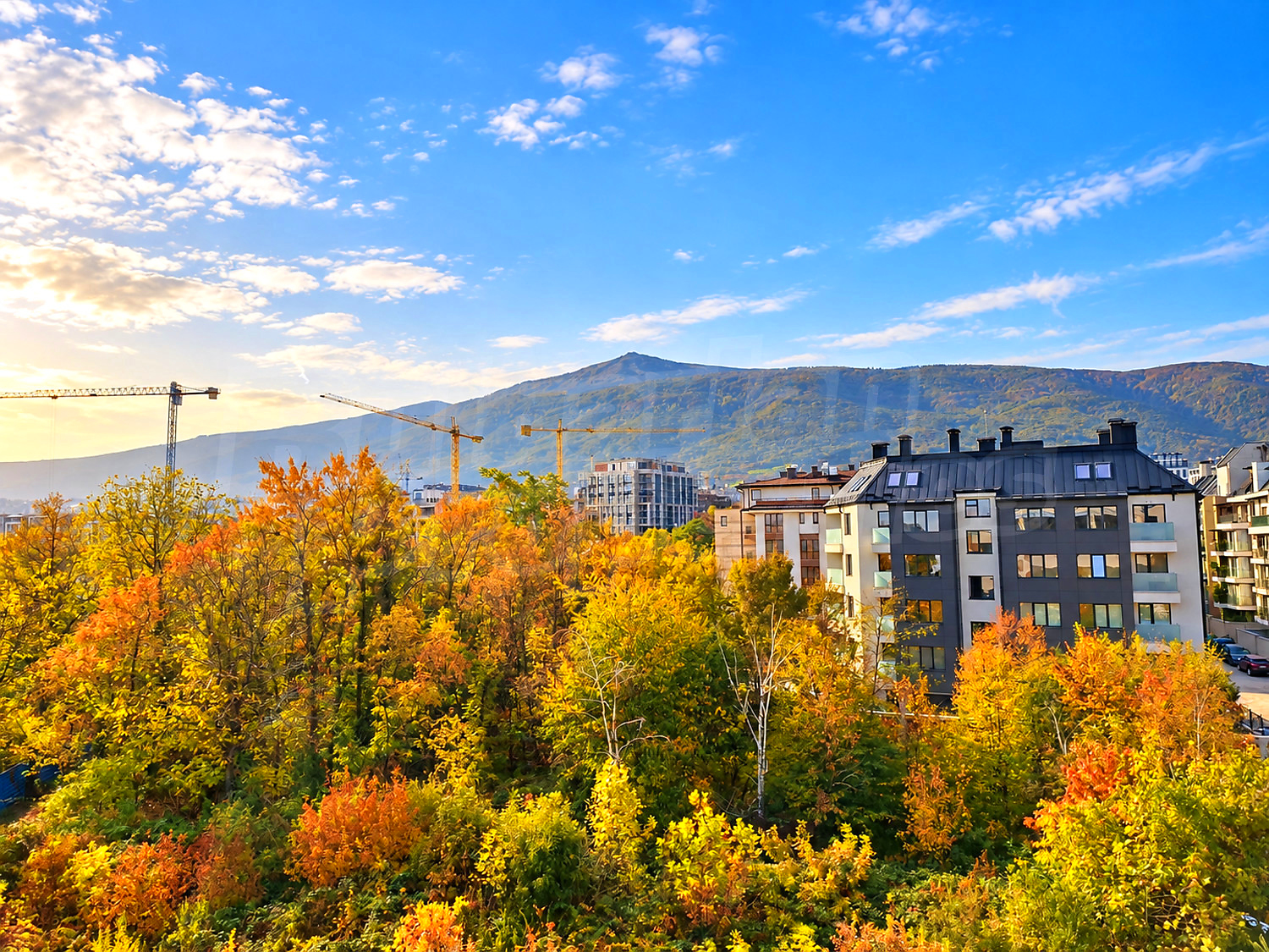 outside, mountain, green area, facade