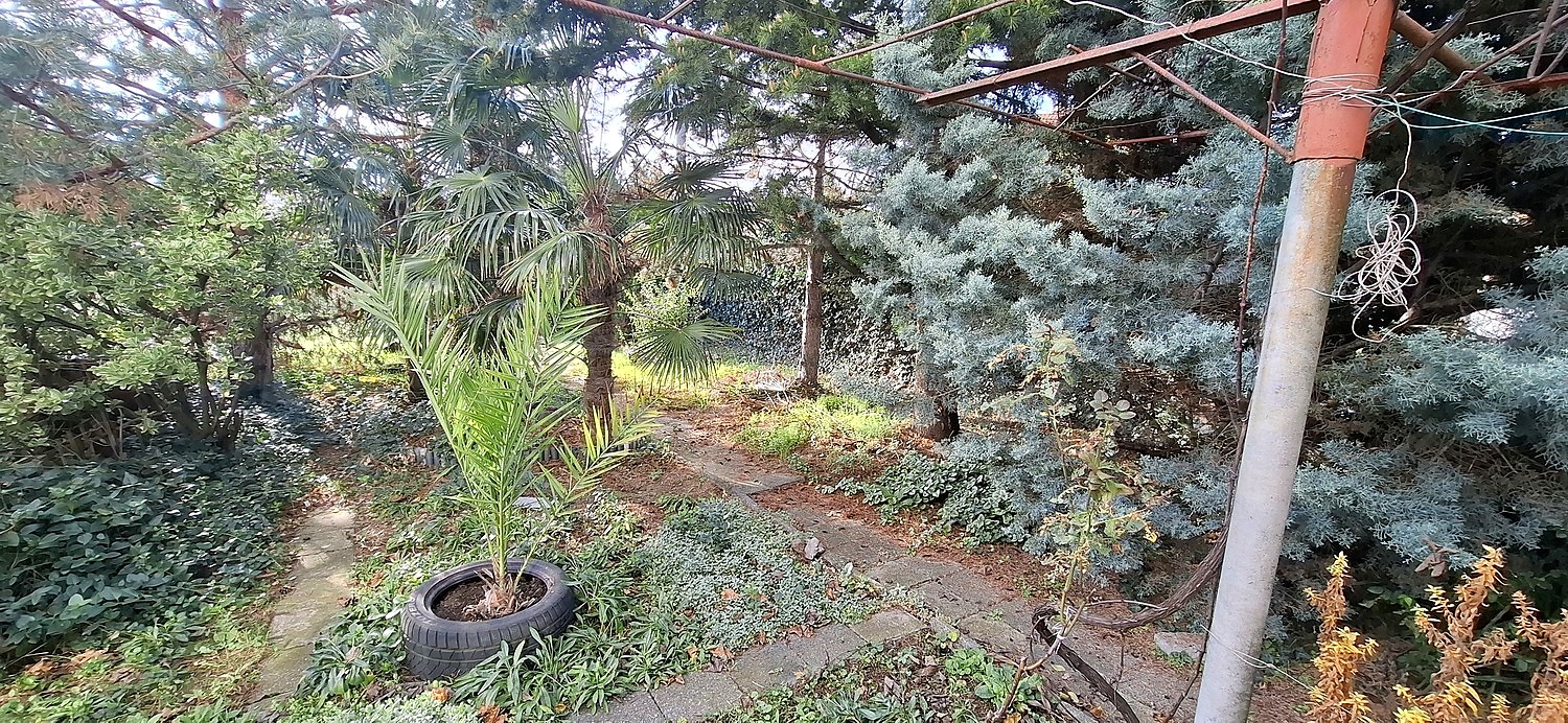 outside, garden, green area