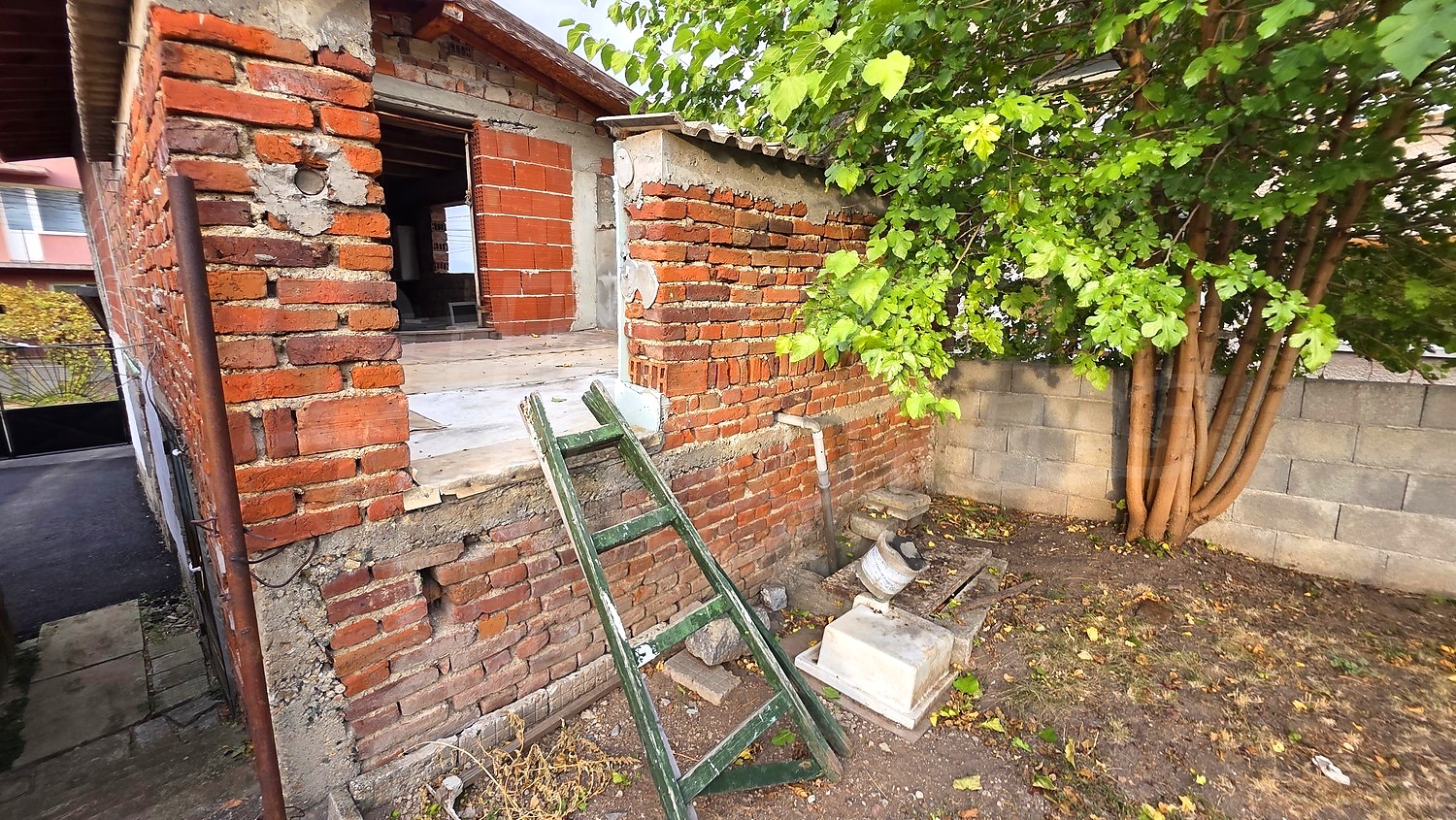 outside, garden