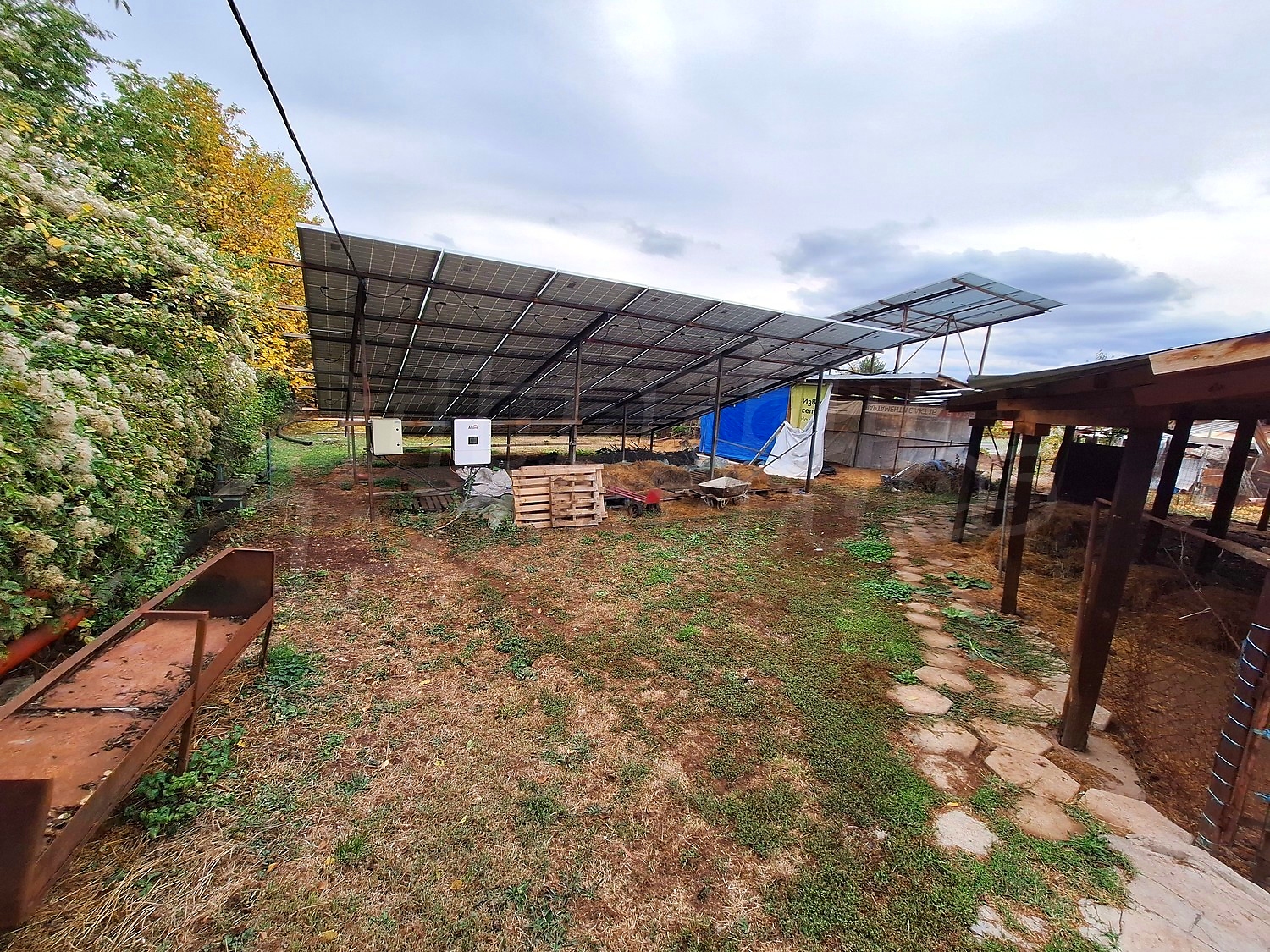 outside, garden, green area