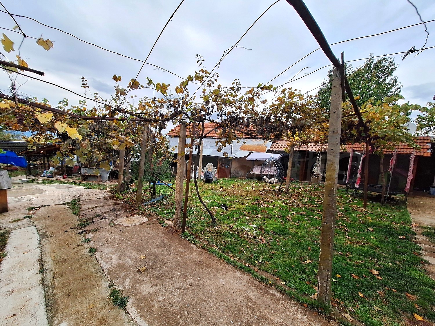 outside, garden