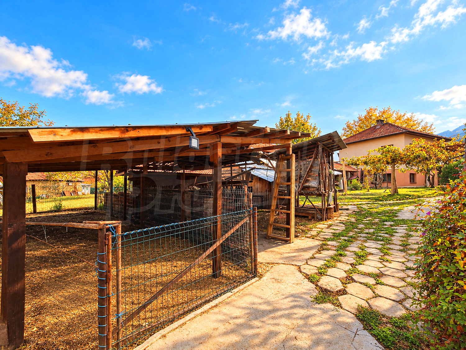 garden, outside