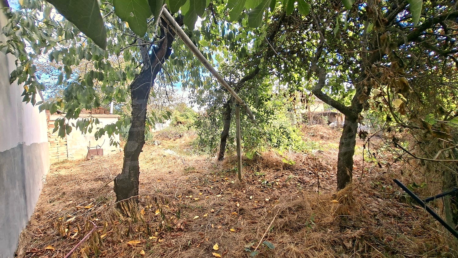 garden, outside