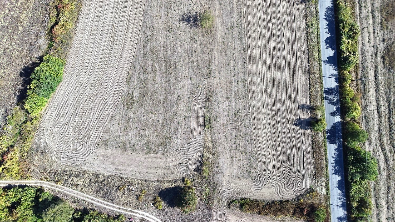 outside, green area