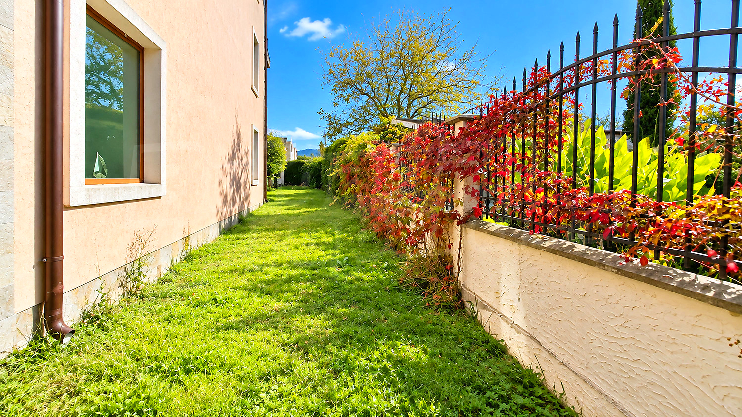 outside, garden
