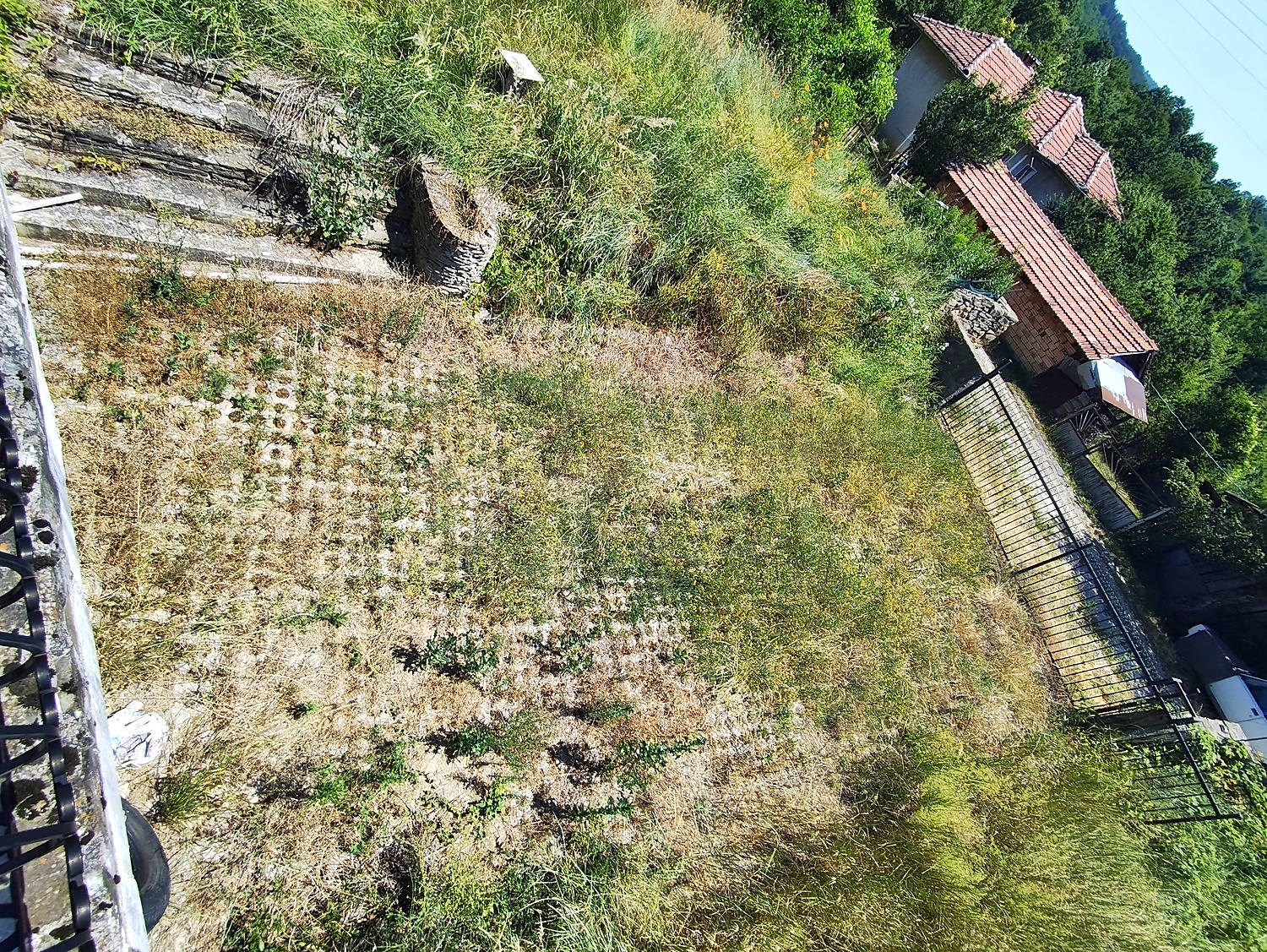 outside, garden, green area