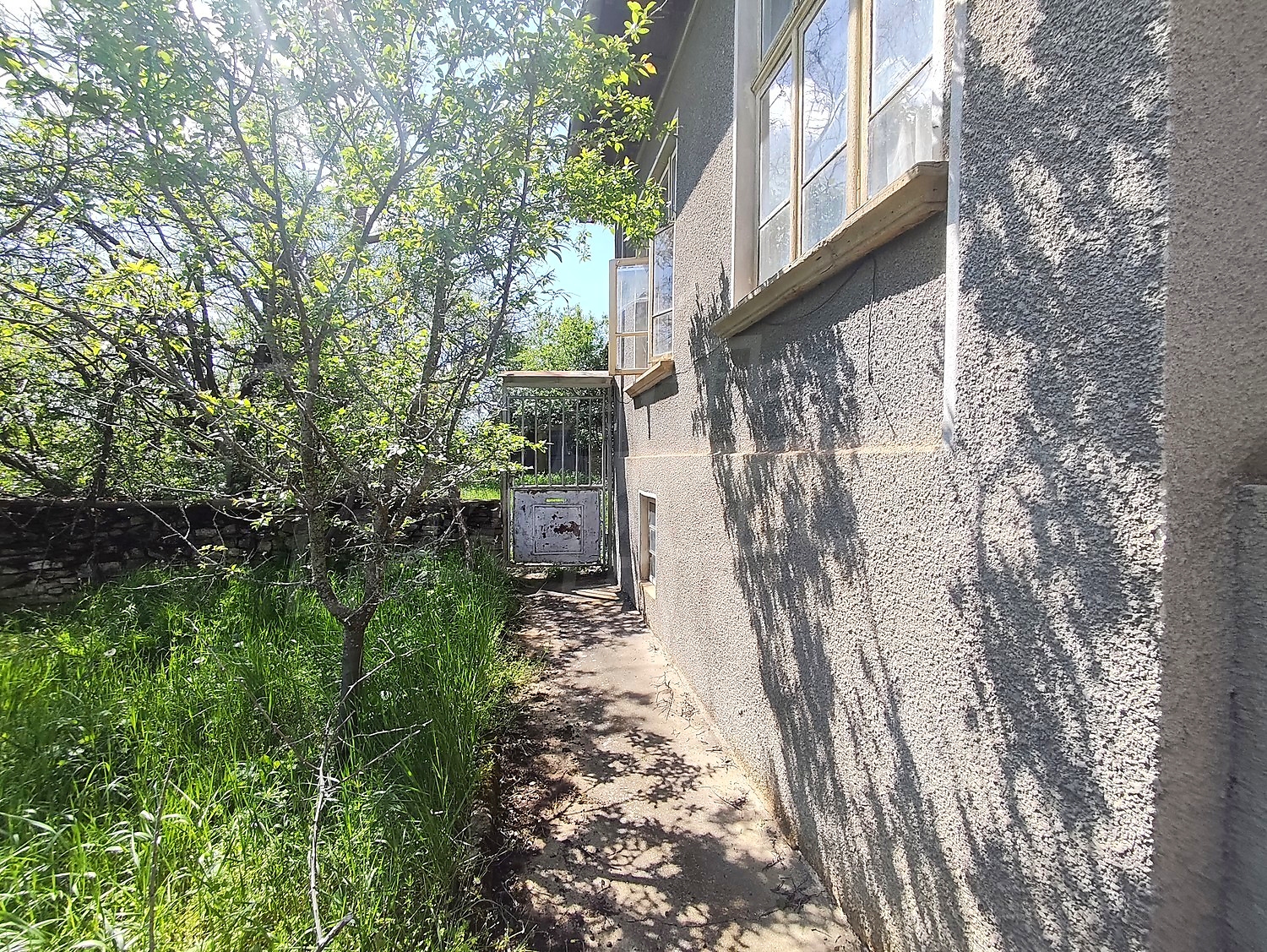 outside, garden