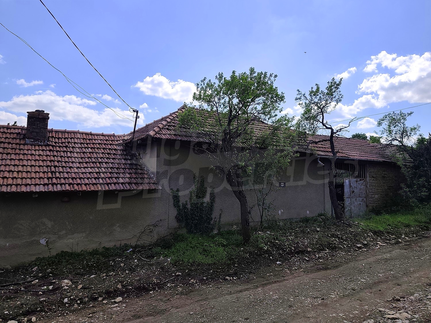 facade, outside, garden