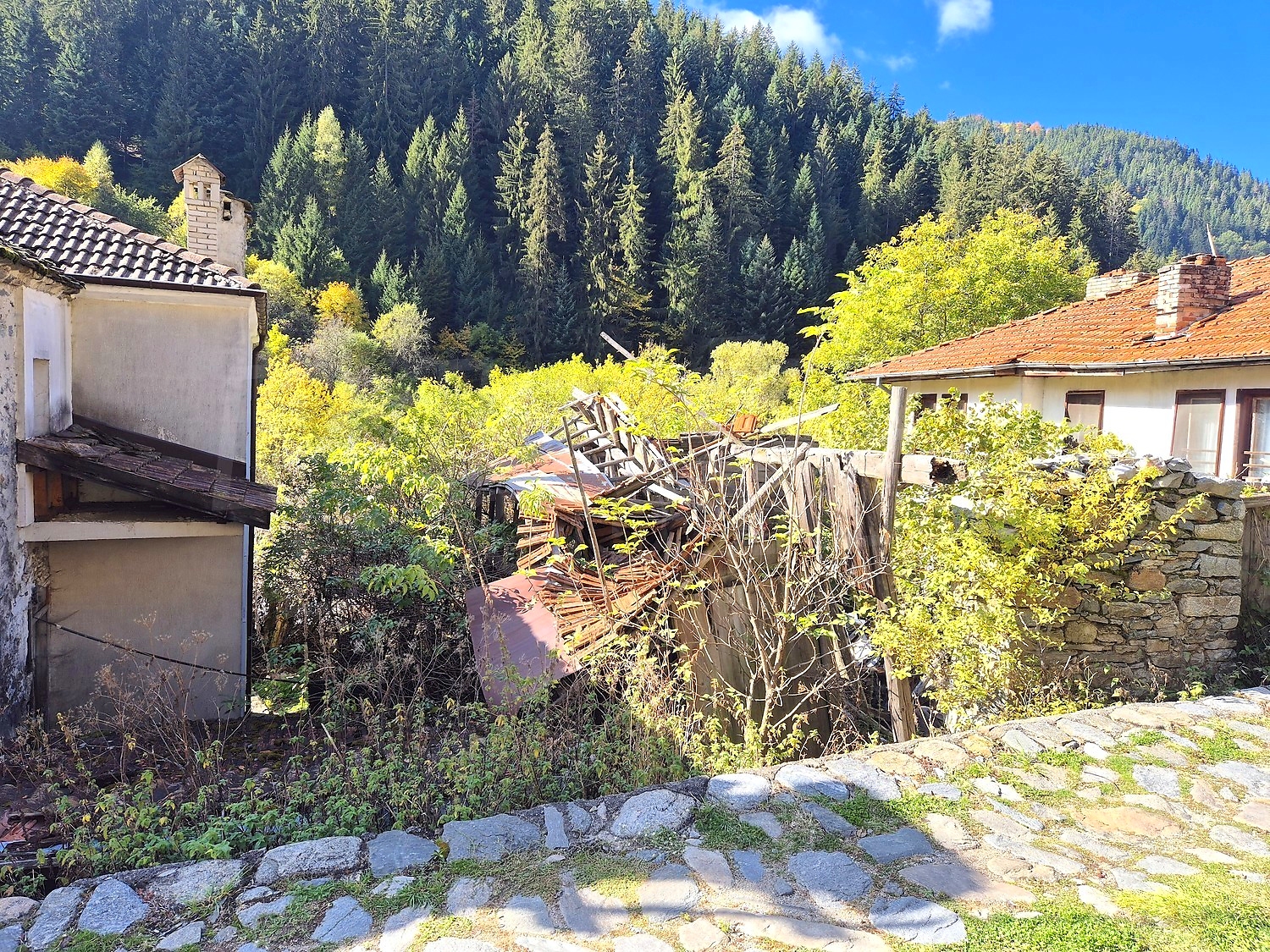 outside, mountain, garden, green area