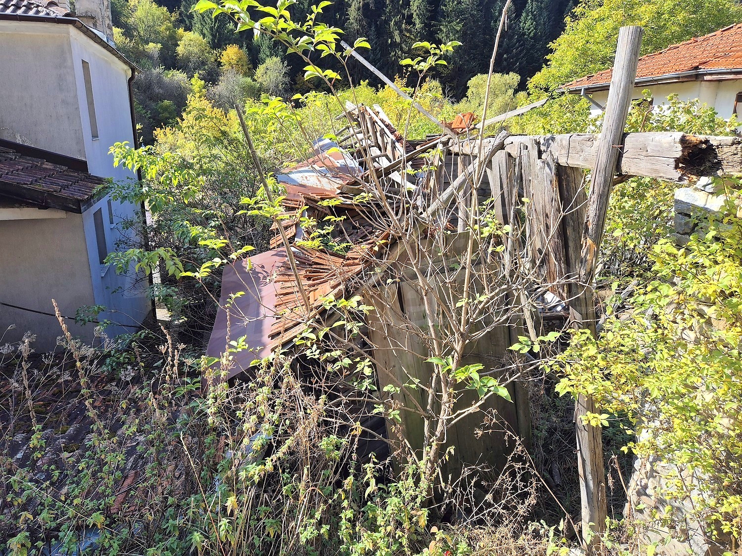 outside, garden, green area