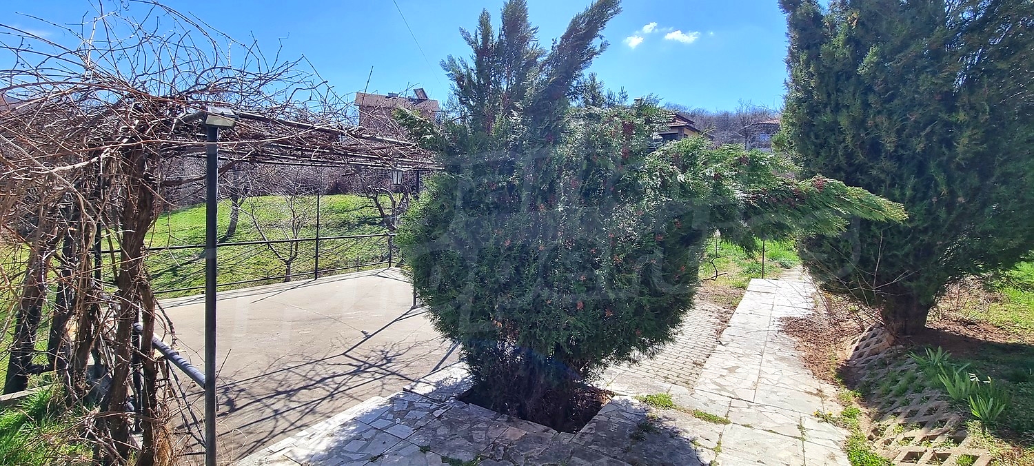 outside, garden, green area