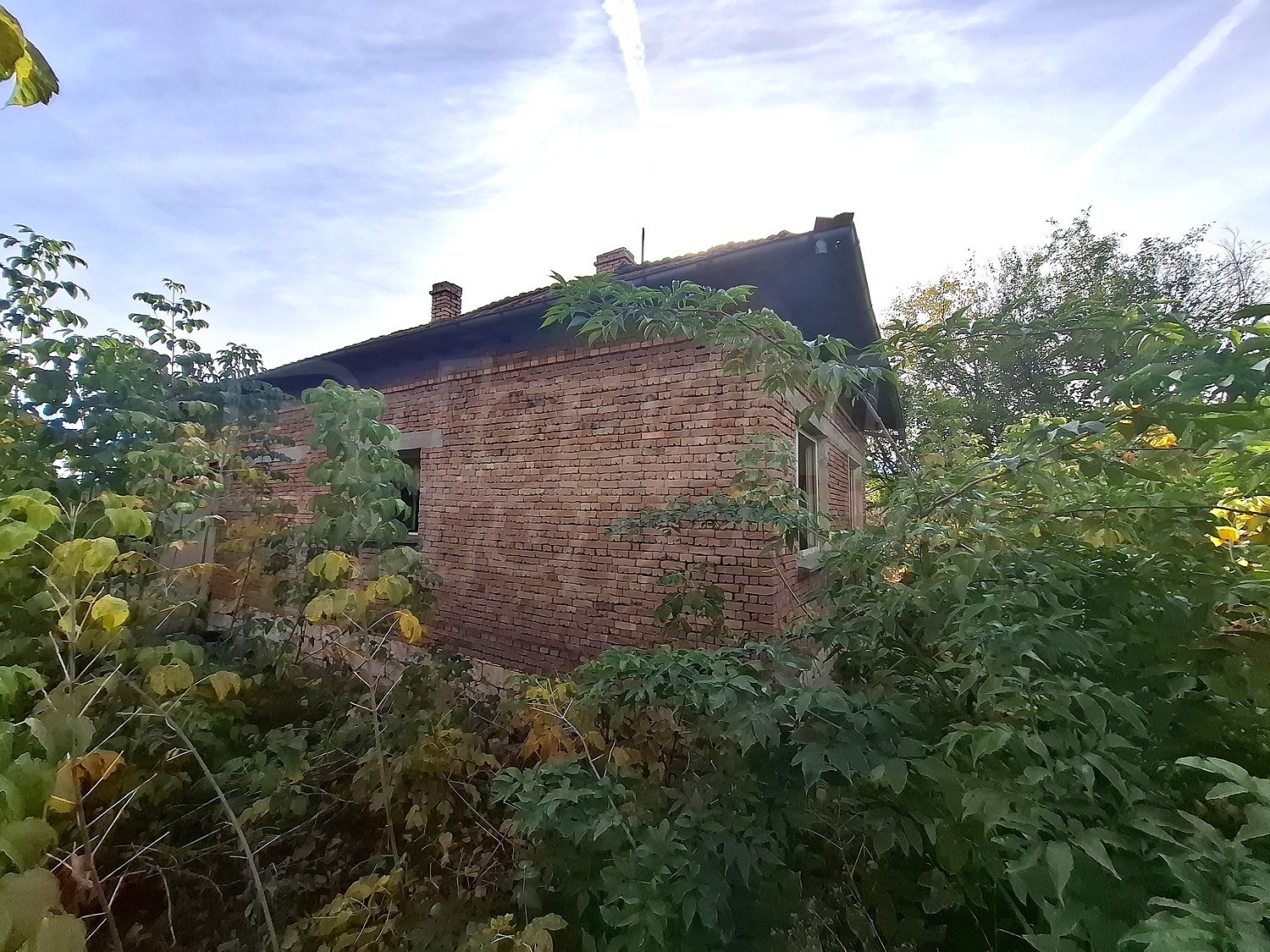 outside, facade, garden, green area