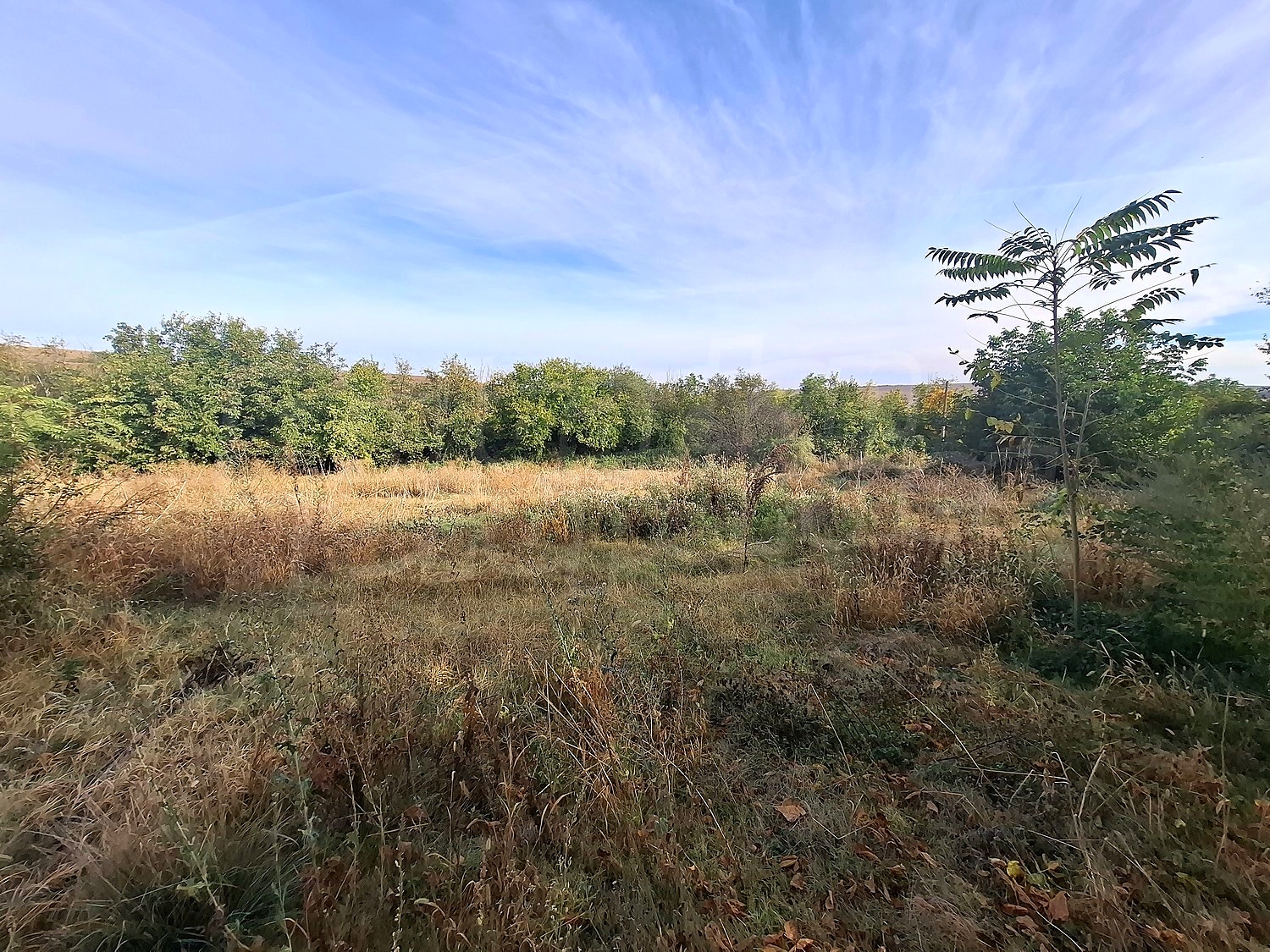 outside, green area