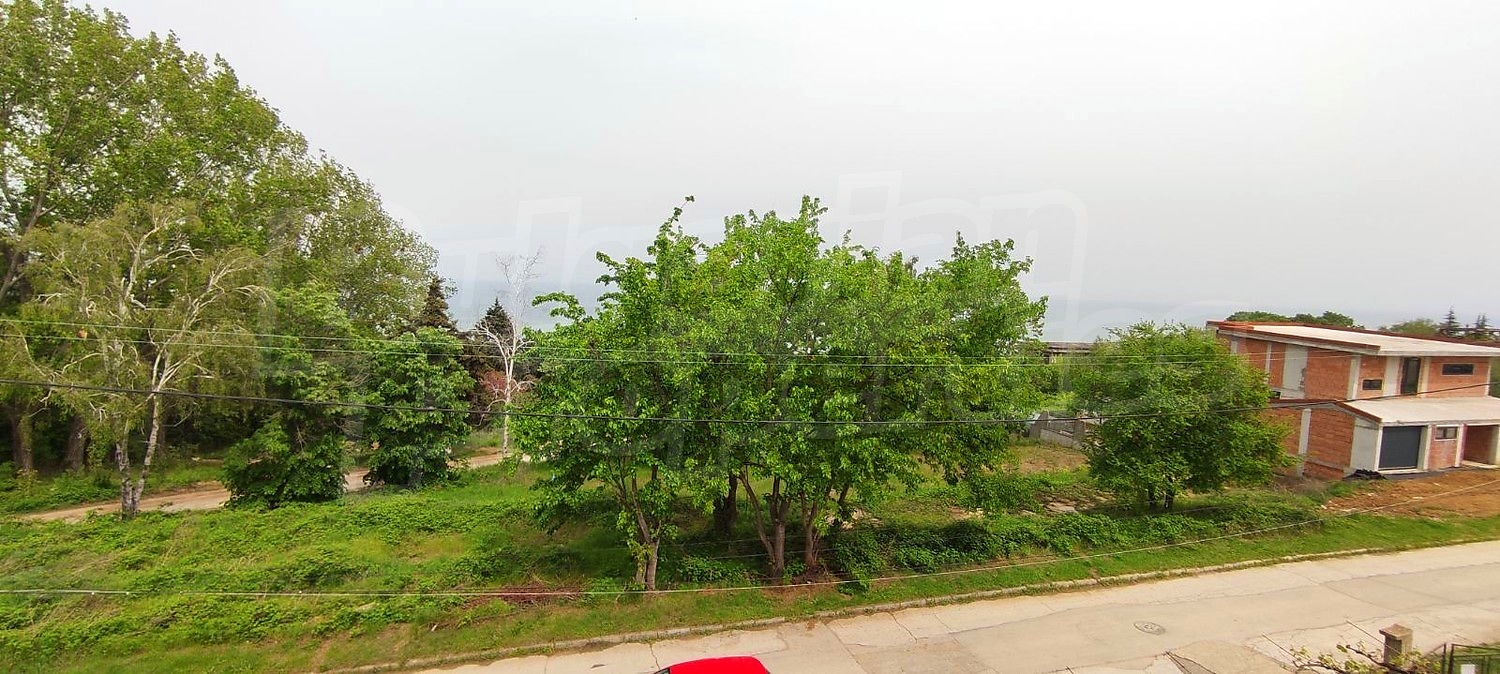 outside, green area, sea