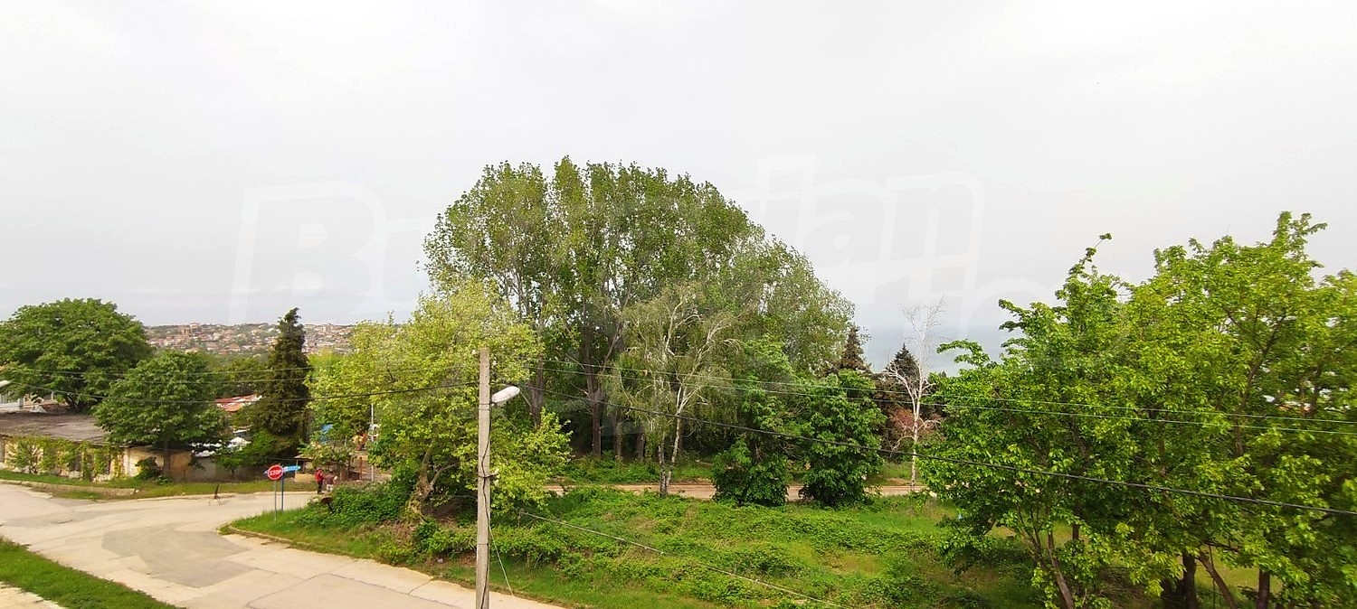 outside, green area