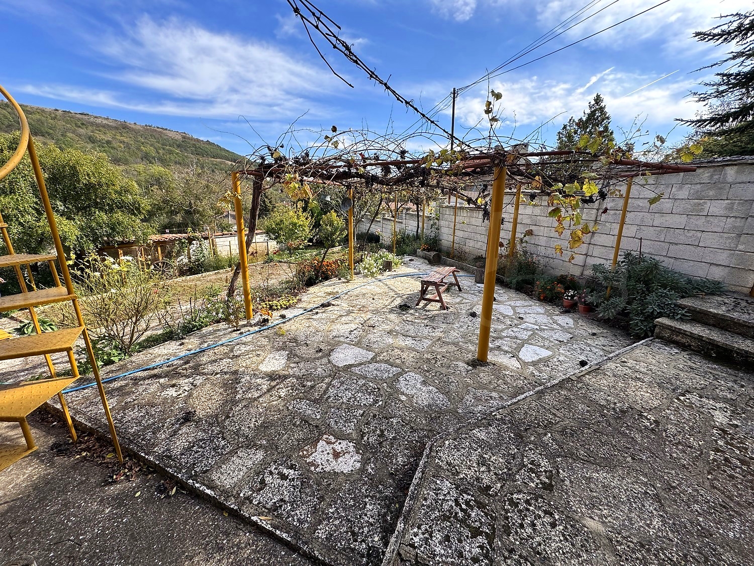 outside, garden, mountain, green area