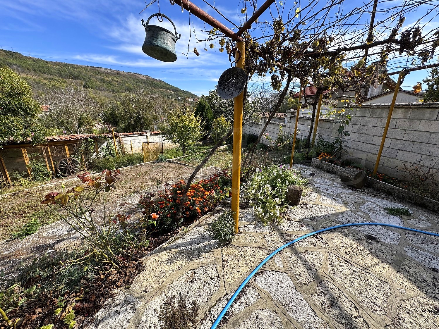 outside, garden, mountain, green area