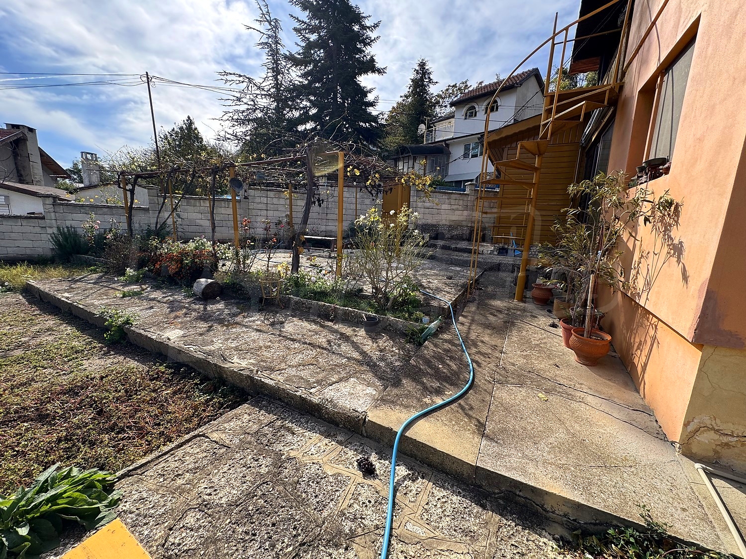outside, garden