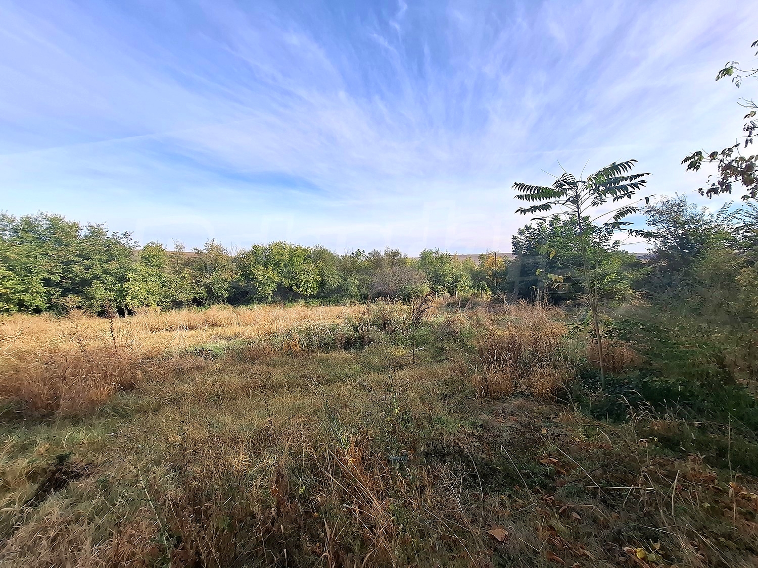 outside, green area