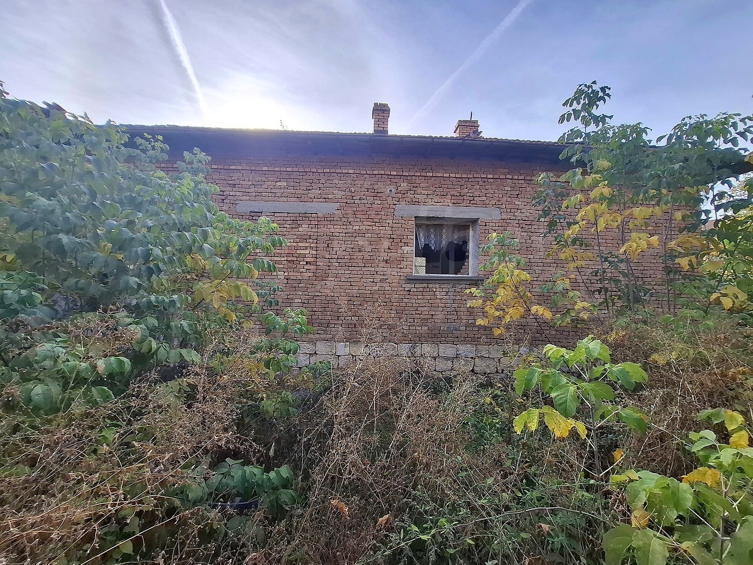 outside, facade, garden