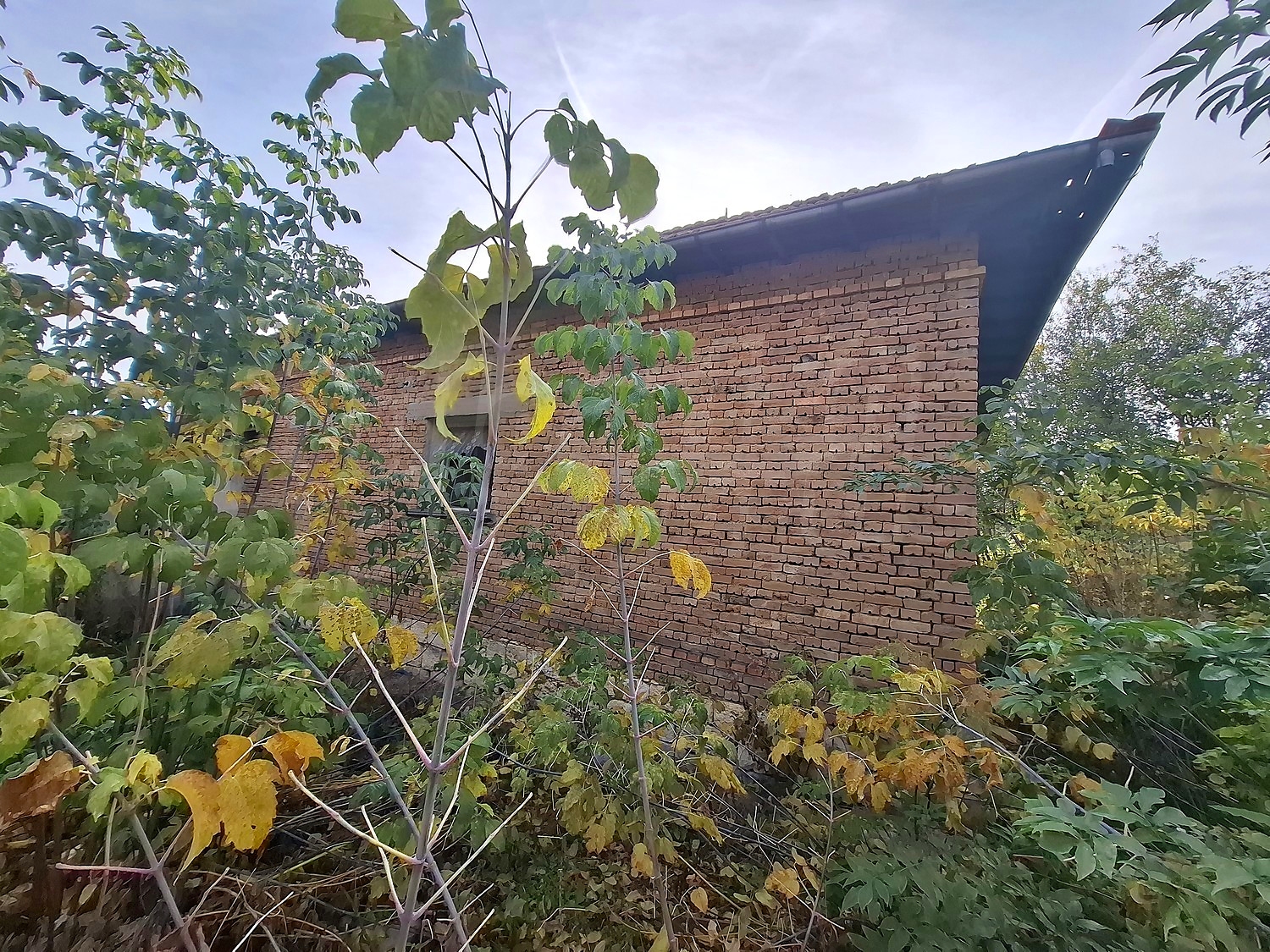 outside, facade, garden