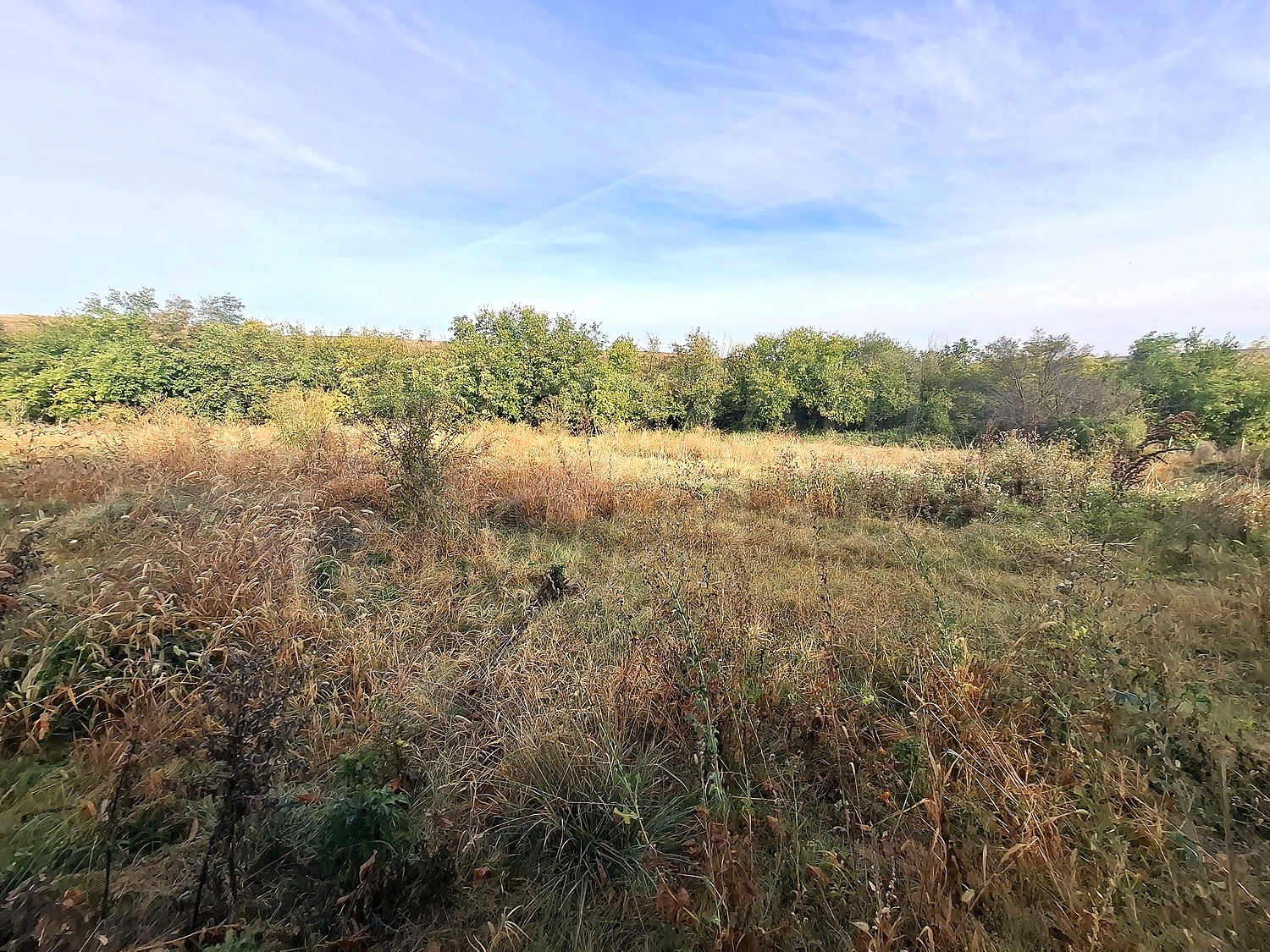 outside, green area