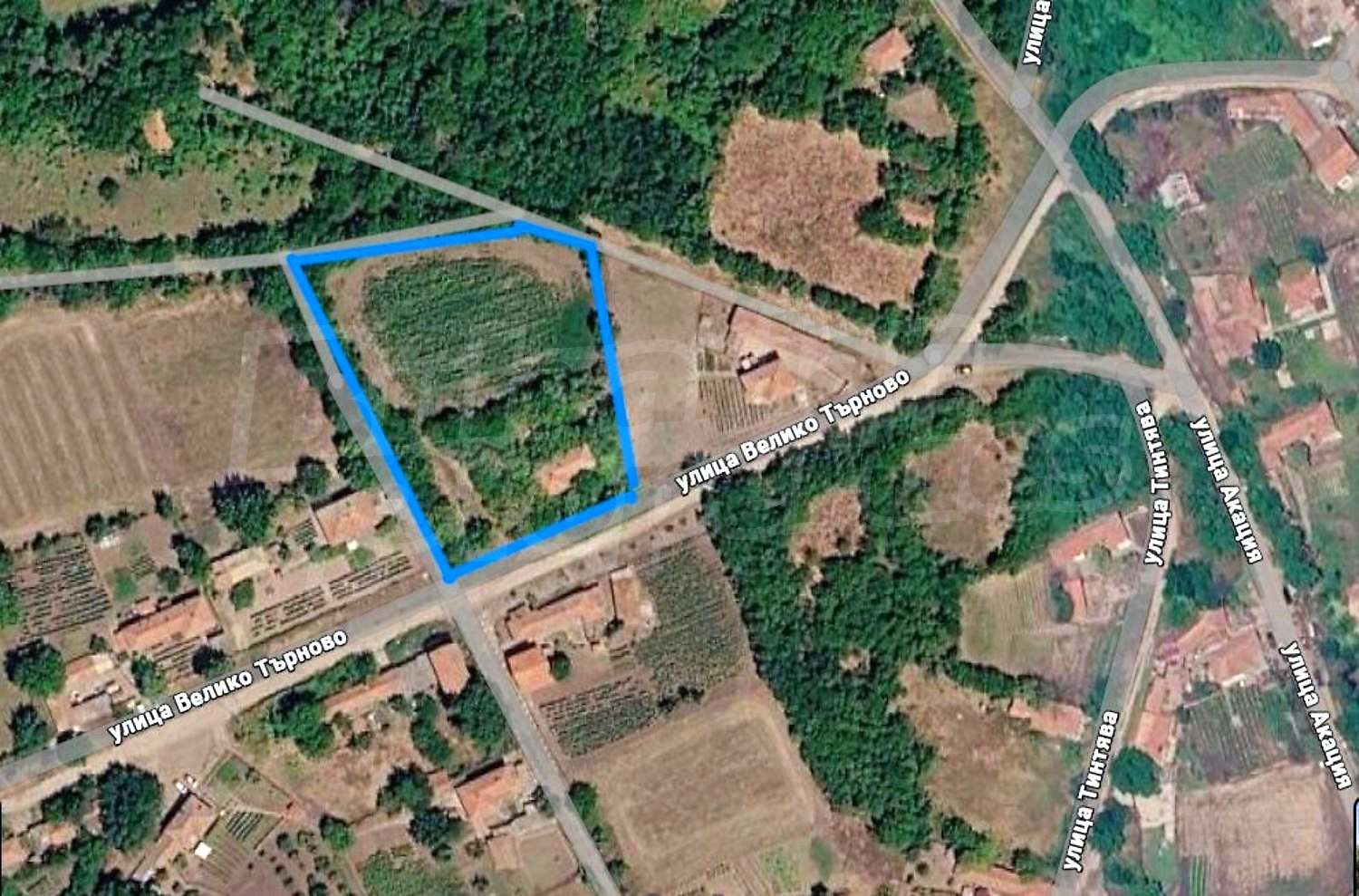 outside, green area, document